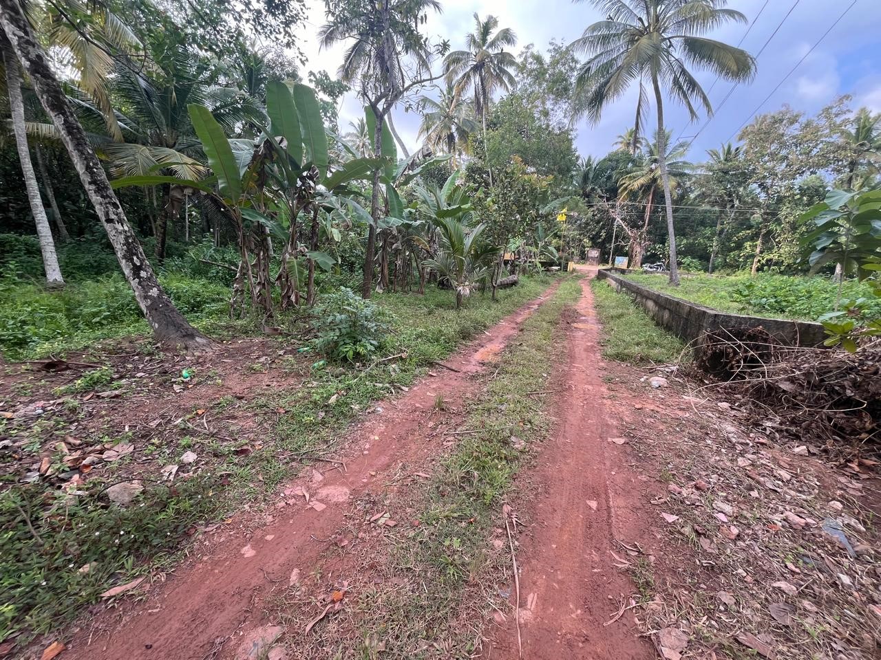 LAND for sale in Varkala — photo 2