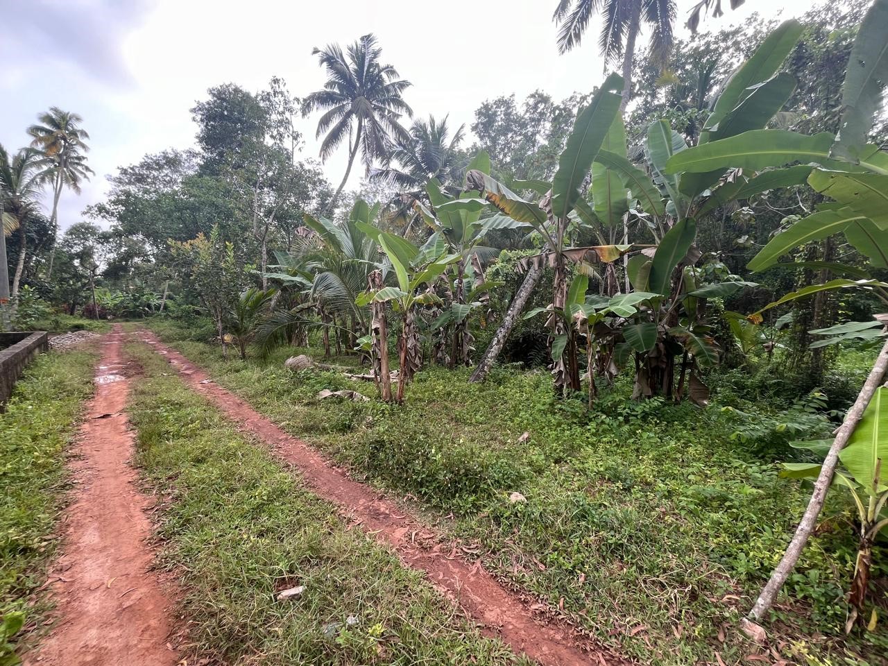 LAND for sale in Varkala — photo 5