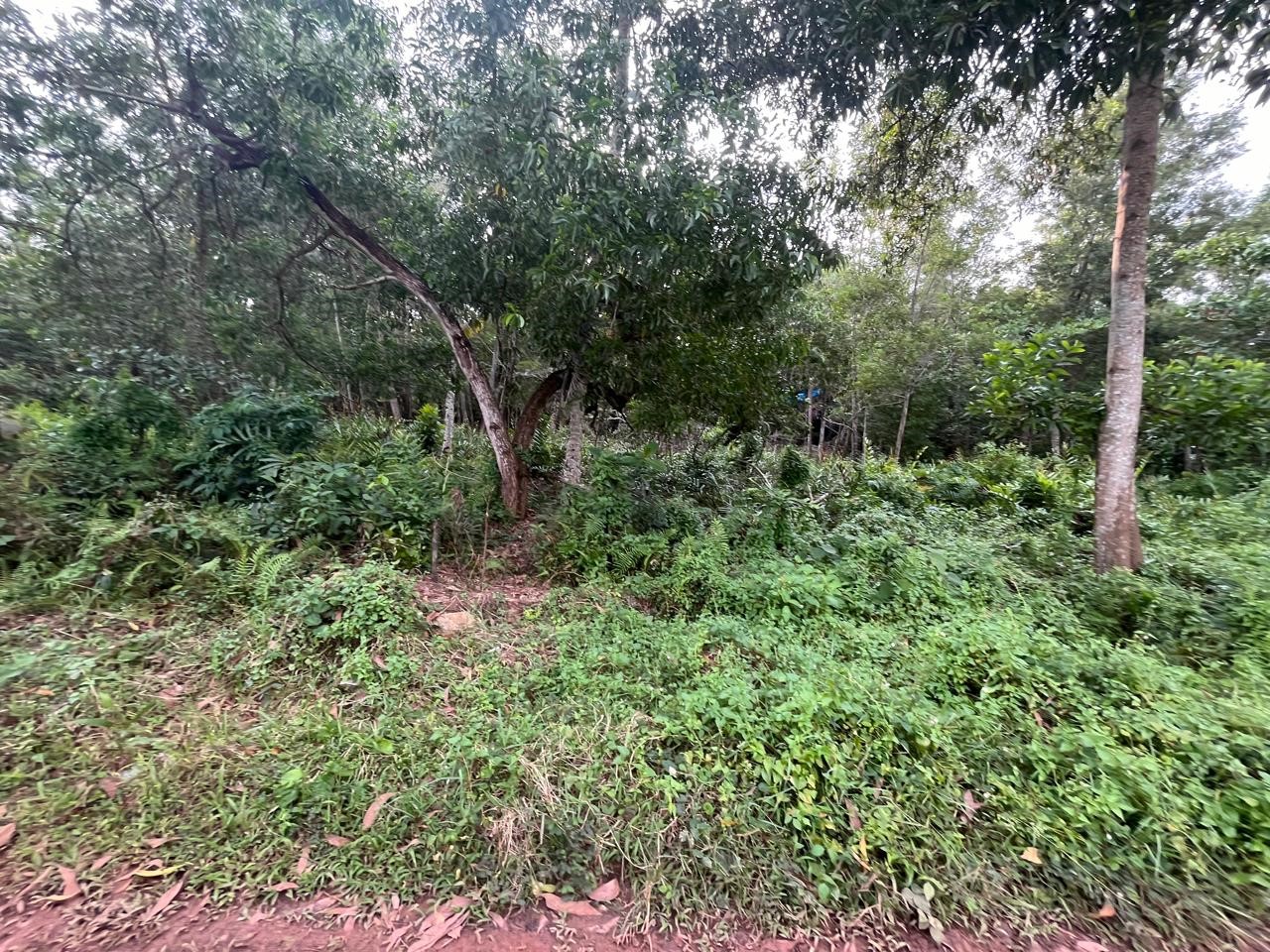 LAND for sale in Varkala — photo 9
