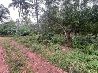 LAND for sale in Varkala — photo 8