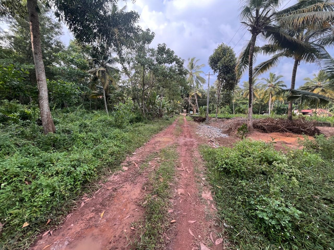 LAND for sale in Varkala — photo 11