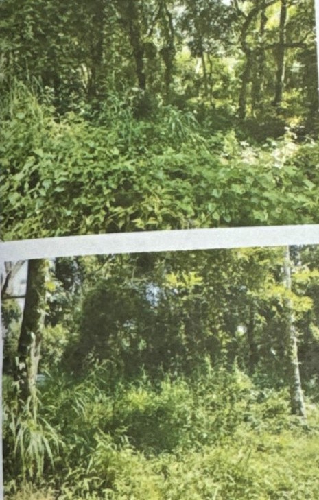 Plot for sale in Kattoor Village, Mukundapuram Taluk, Thrissur District Thrissur — photo 1