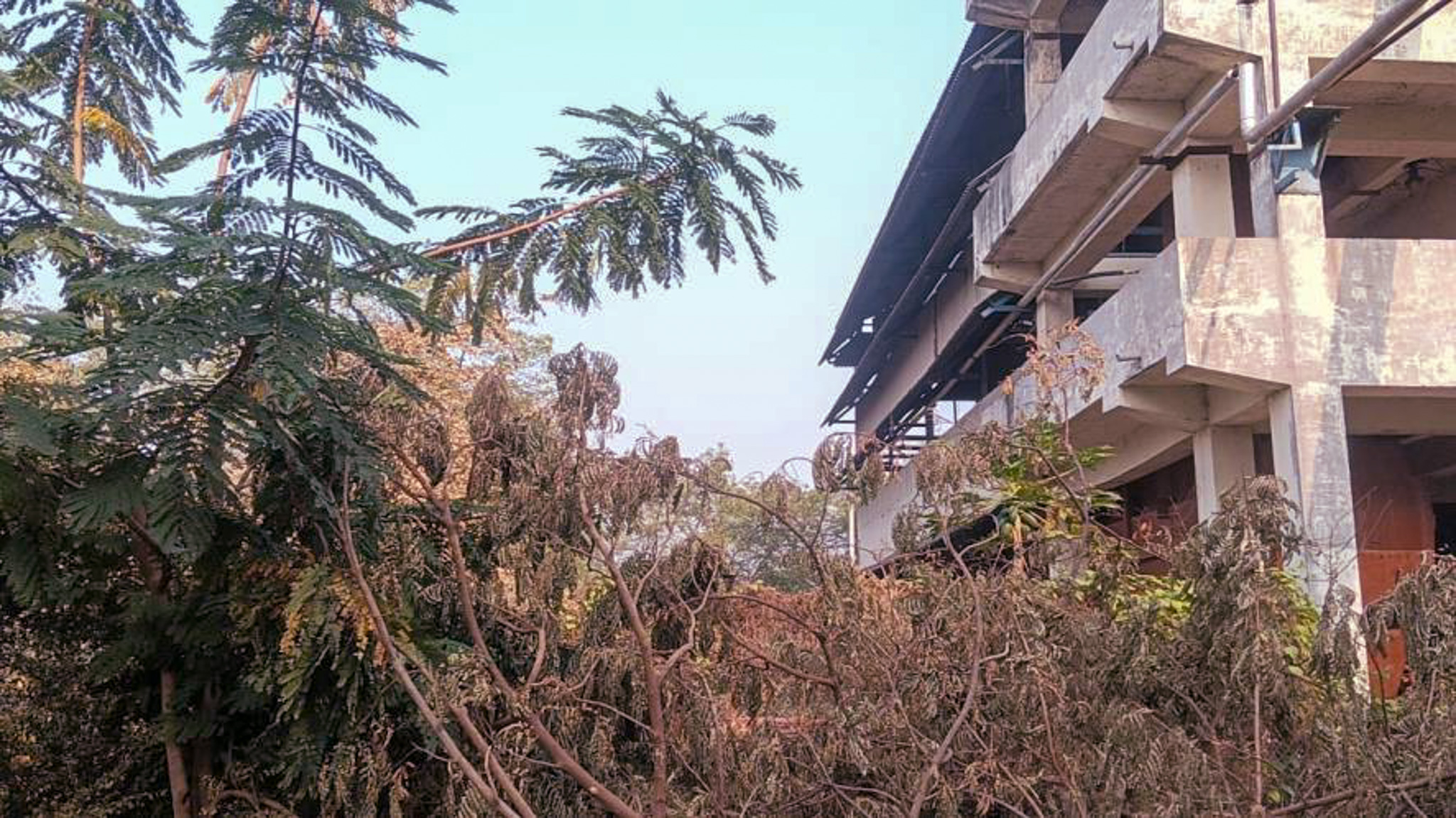 42146 square meter Industrial Plot with Factory Building for sale in Village Salajda, Bavla Dholka Road, Bavla Bavla — photo 8
