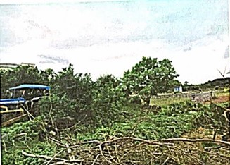 Plot for sale in Jagtial — photo 1