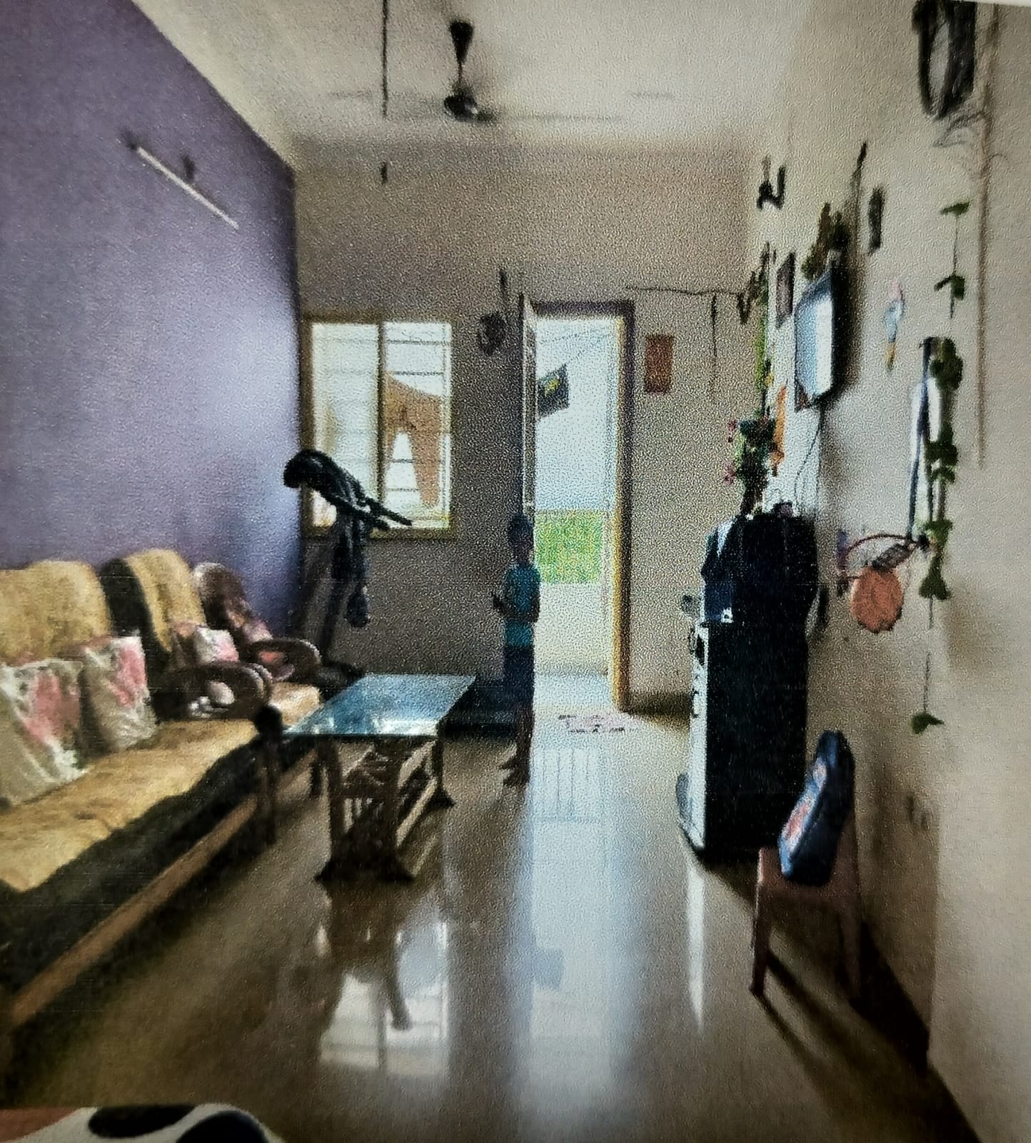 920 square feet Flat for sale in Mandideep — photo 1
