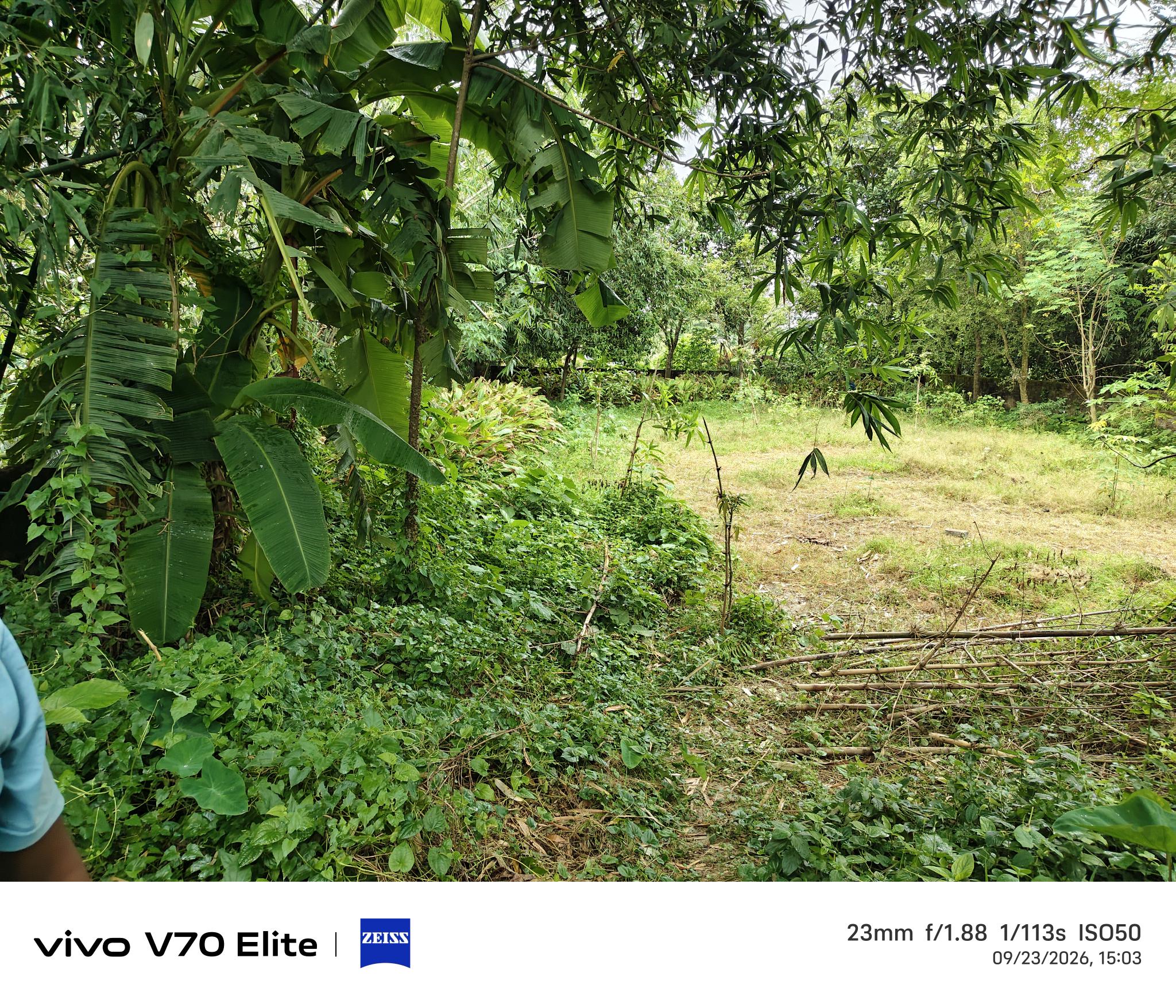 Plot for sale in Chhota Suzapur — photo 2