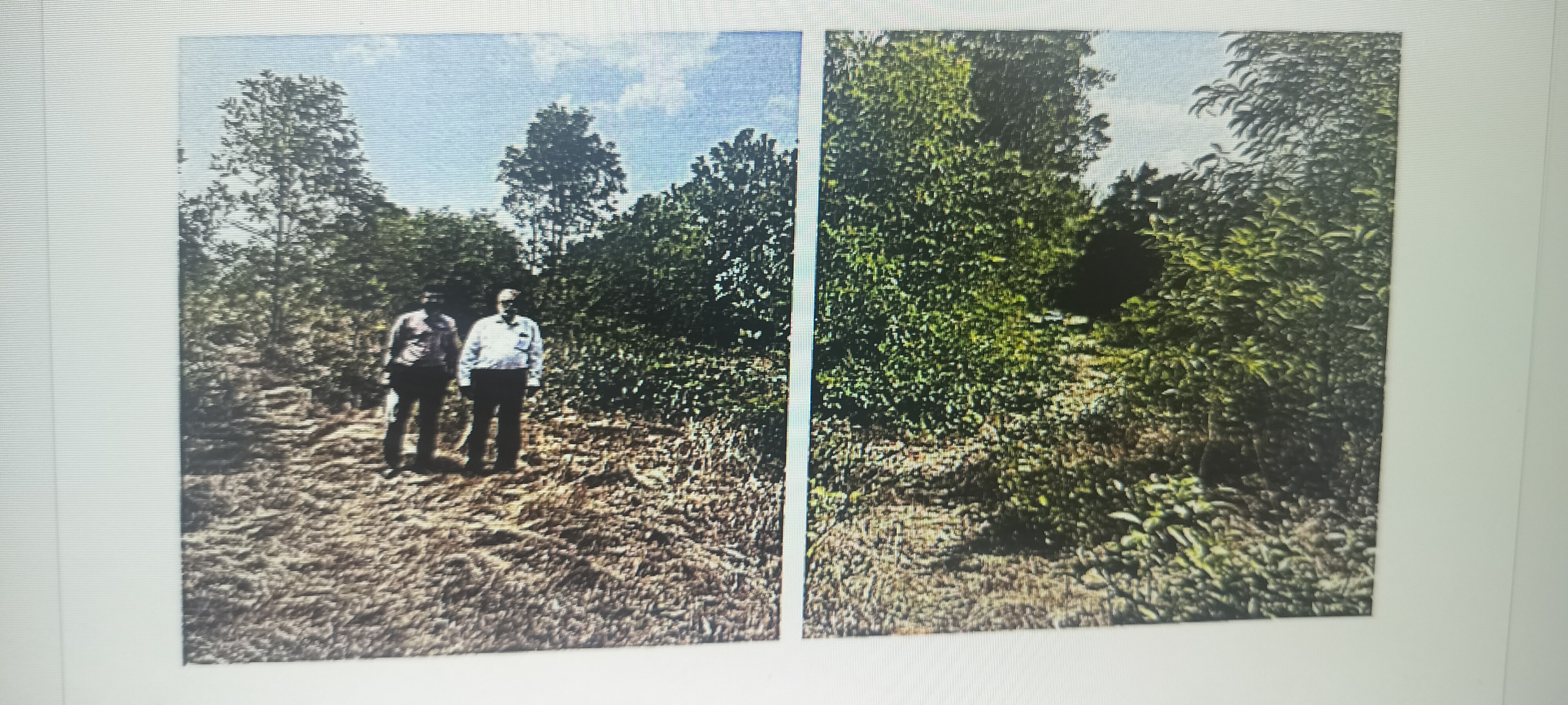 Plot for sale in Alevoor — photo 1