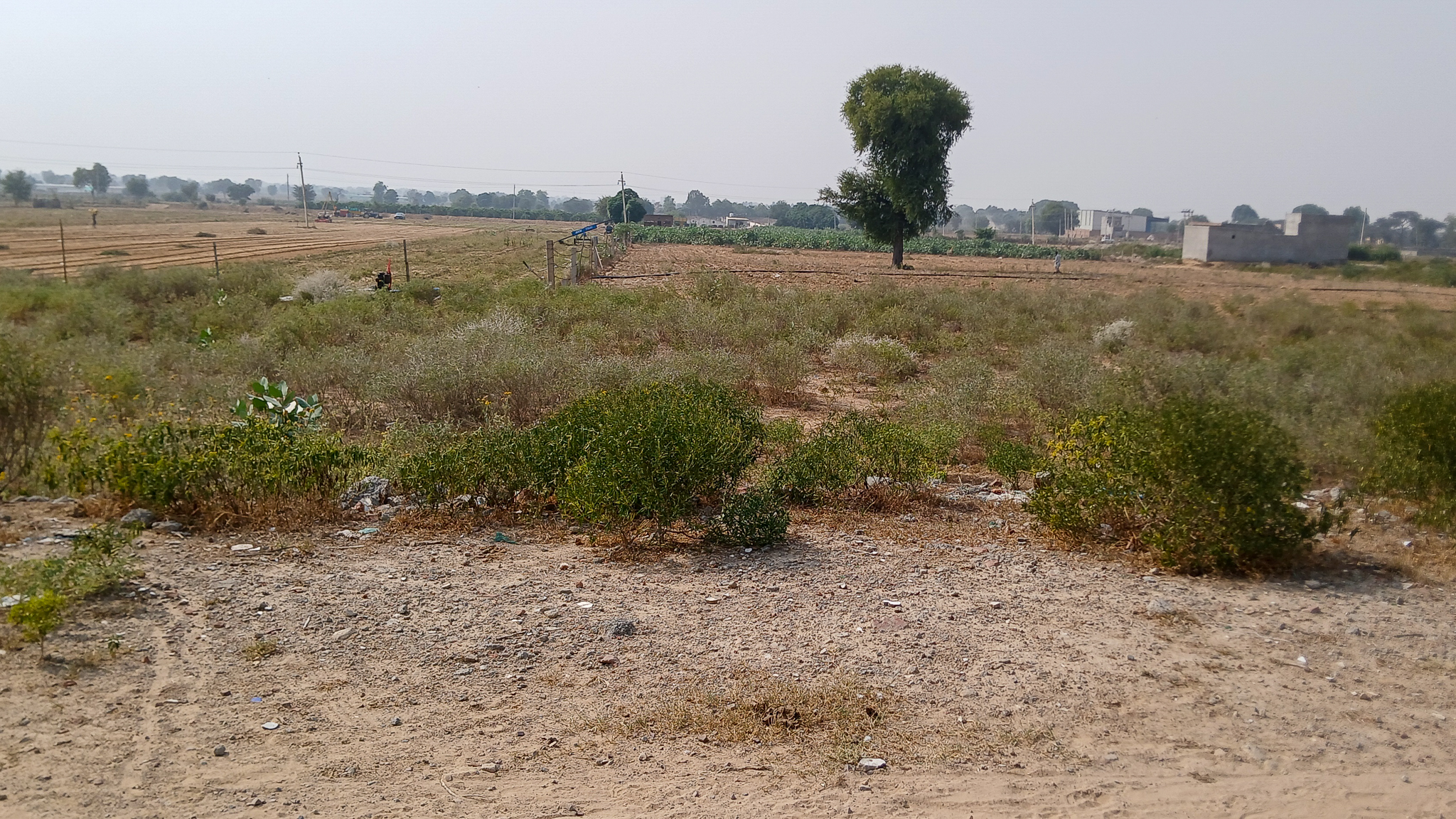 500 square yard Industrial Plot with Factory Building for sale in New Silver Ciry, Near Daroli Road Adampur — photo 10