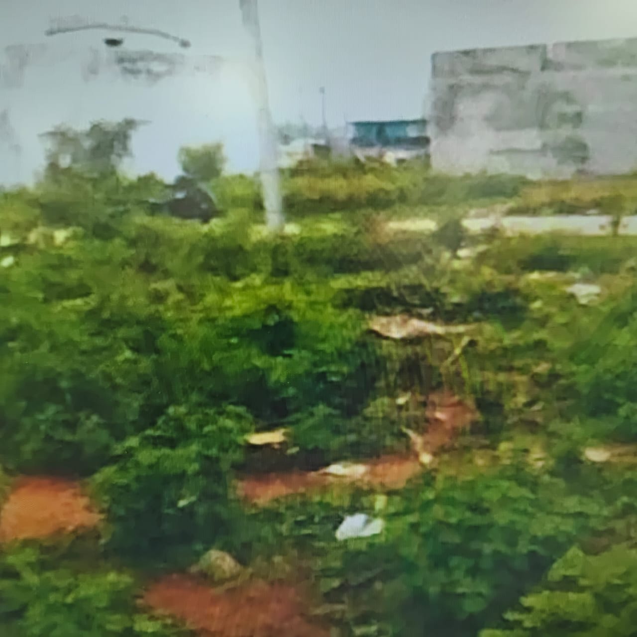Plot for sale in Mahurbandpara Kanker — photo 3