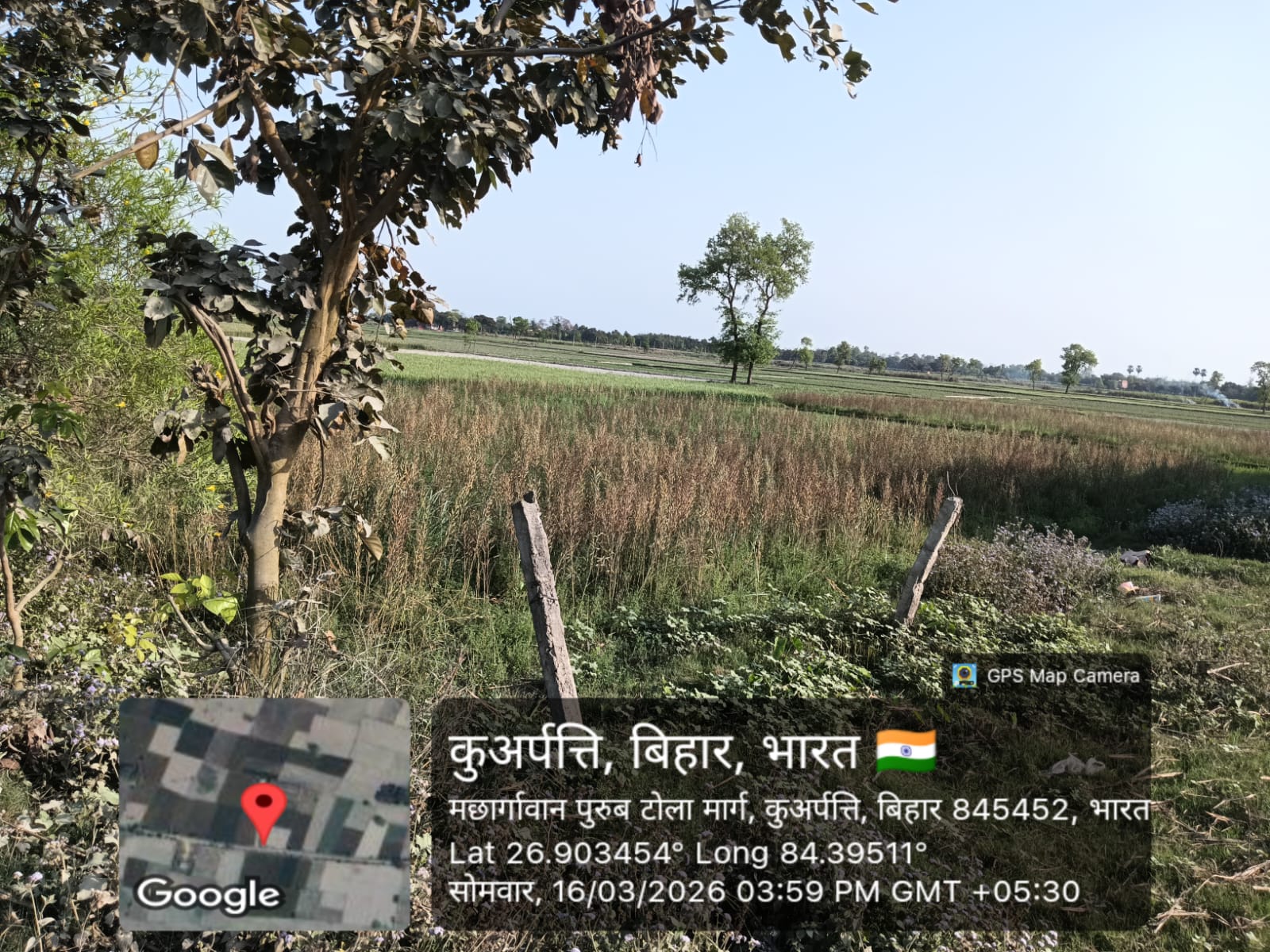 OPEN PLOT AT VILLAGE for sale in JOGAPATTI Narkatiaganj