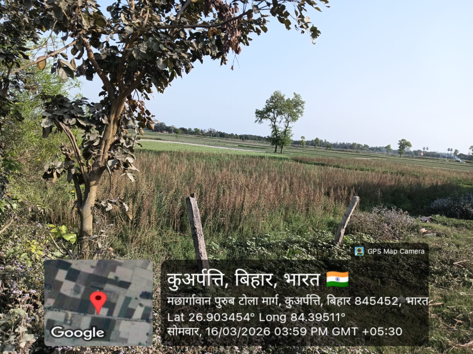 OPEN PLOT AT VILLAGE for sale in JOGAPATTI Narkatiaganj — photo 3