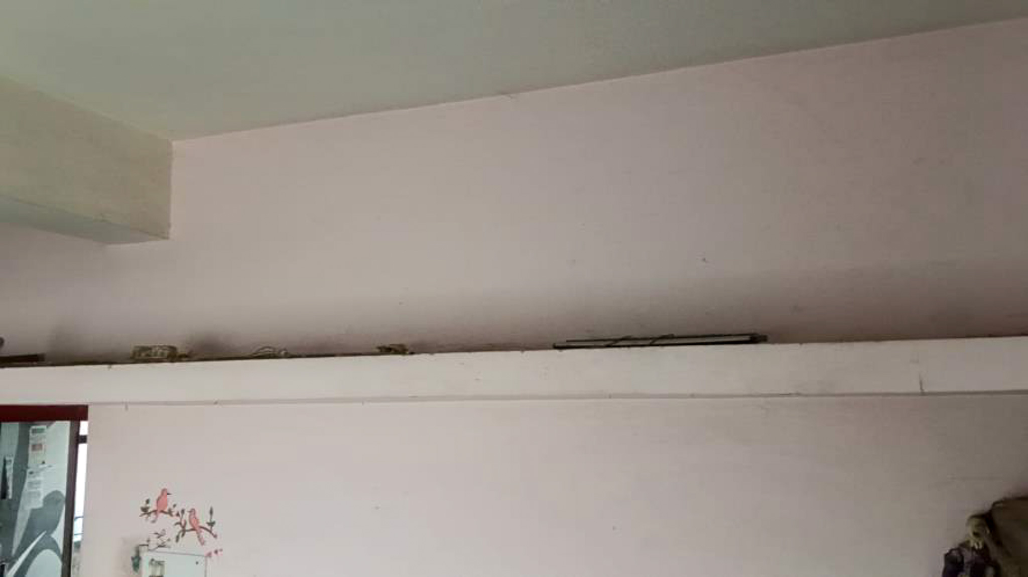Flat for sale in Vadodara — photo 7