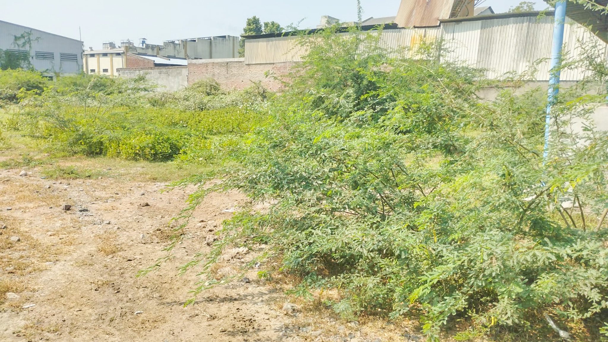 1920 square meter Industrial Plot with Factory Building for sale in Village Salajada, Bavla Dholka Road, Ahmedabad Bavla — photo 6