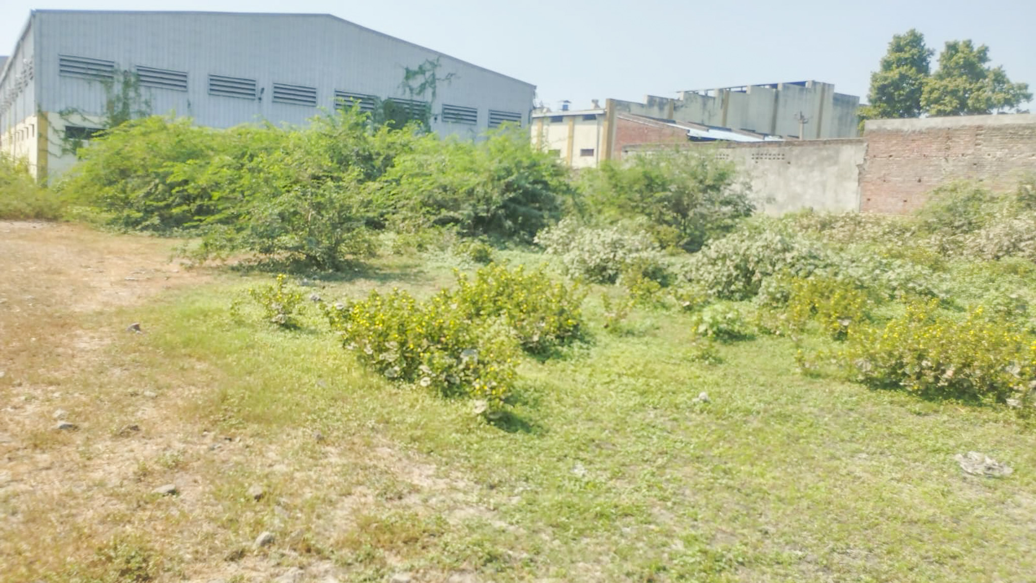 1920 square meter Industrial Plot with Factory Building for sale in Village Salajada, Bavla Dholka Road, Ahmedabad Bavla — photo 10