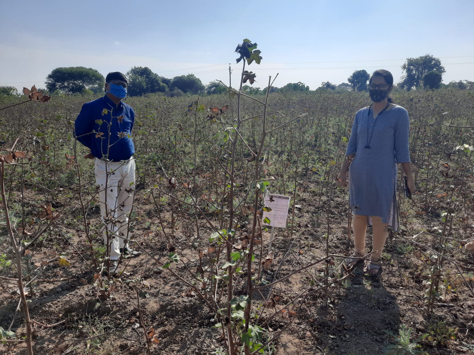 Plot for sale in Chhatrapati Sambhajinagar