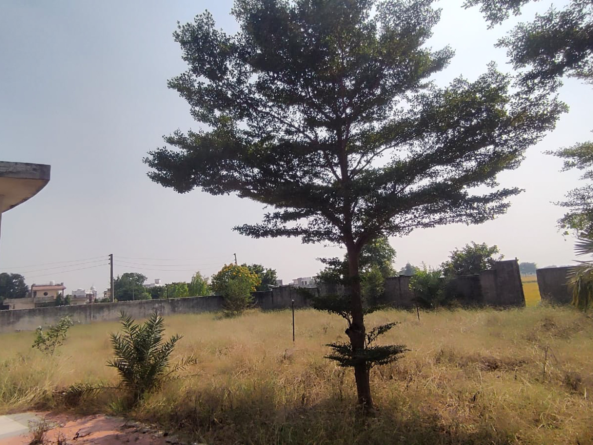 Individual House for sale in Patiala — photo 24