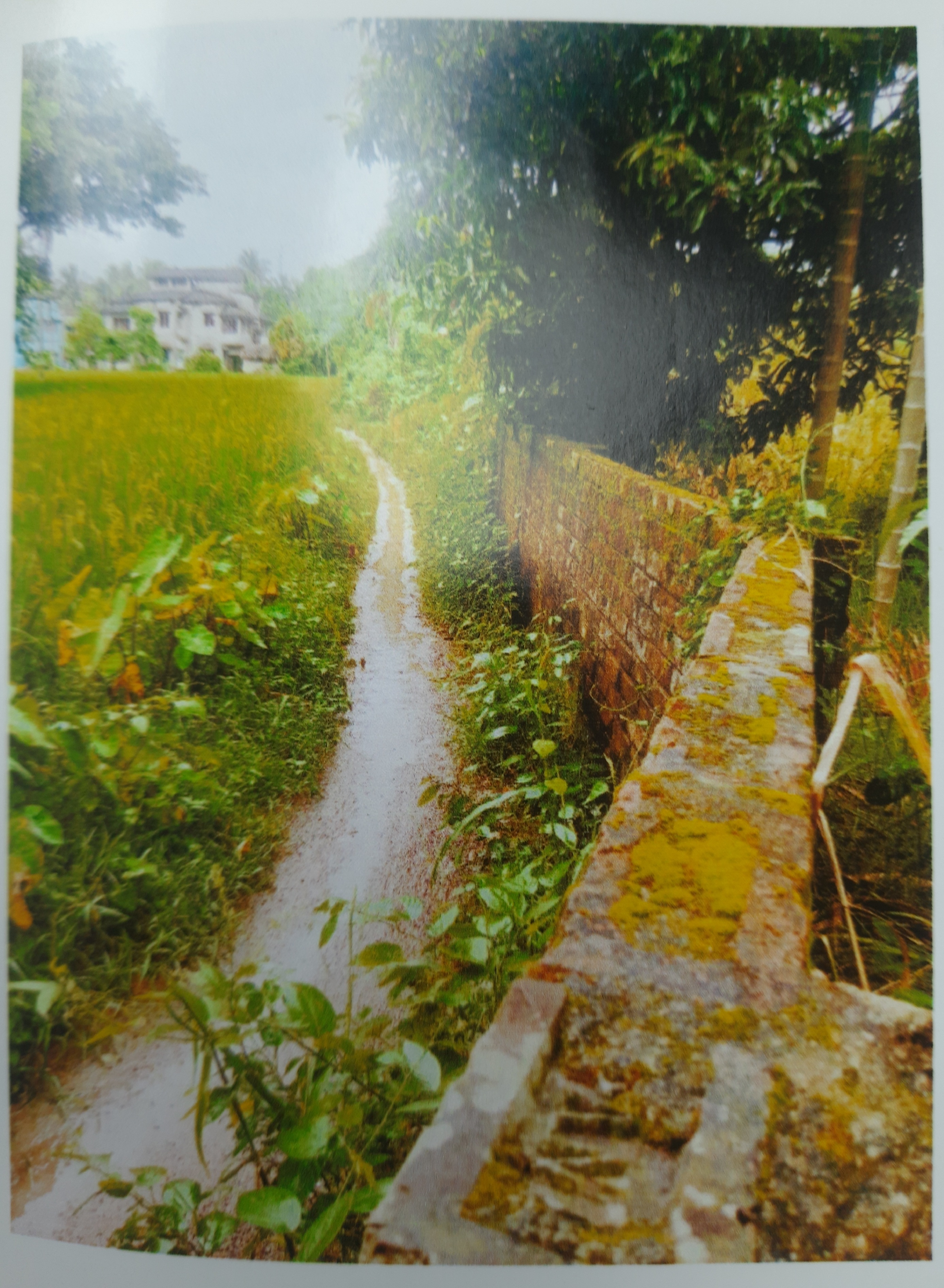 OTHER for sale in Haldia — photo 1