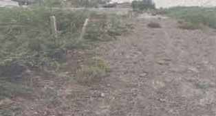 2166 square yard Plot for sale in Ongole — photo 1