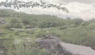 Plot for sale in Chimakurthy — photo 3