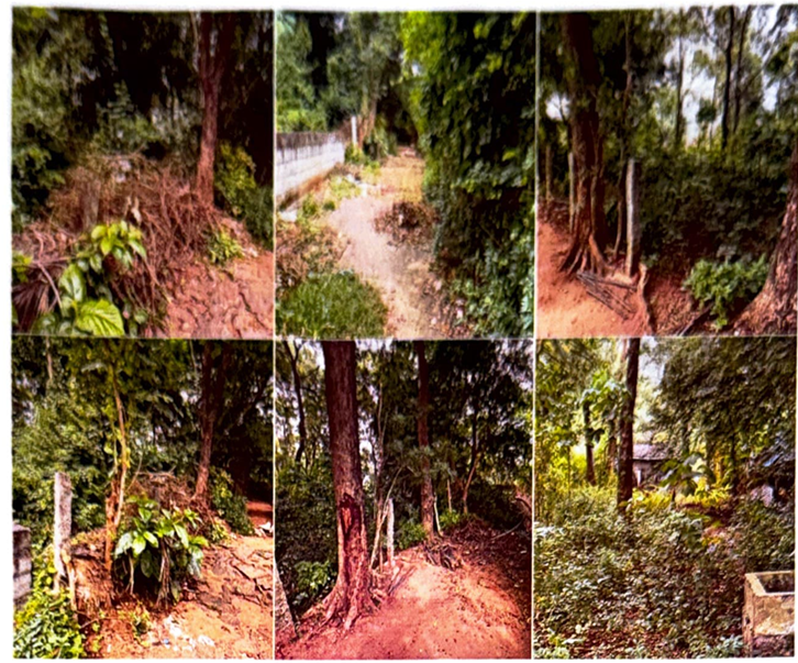 Plot for sale in Vilayodi Chittur Thathamangalam — photo 3