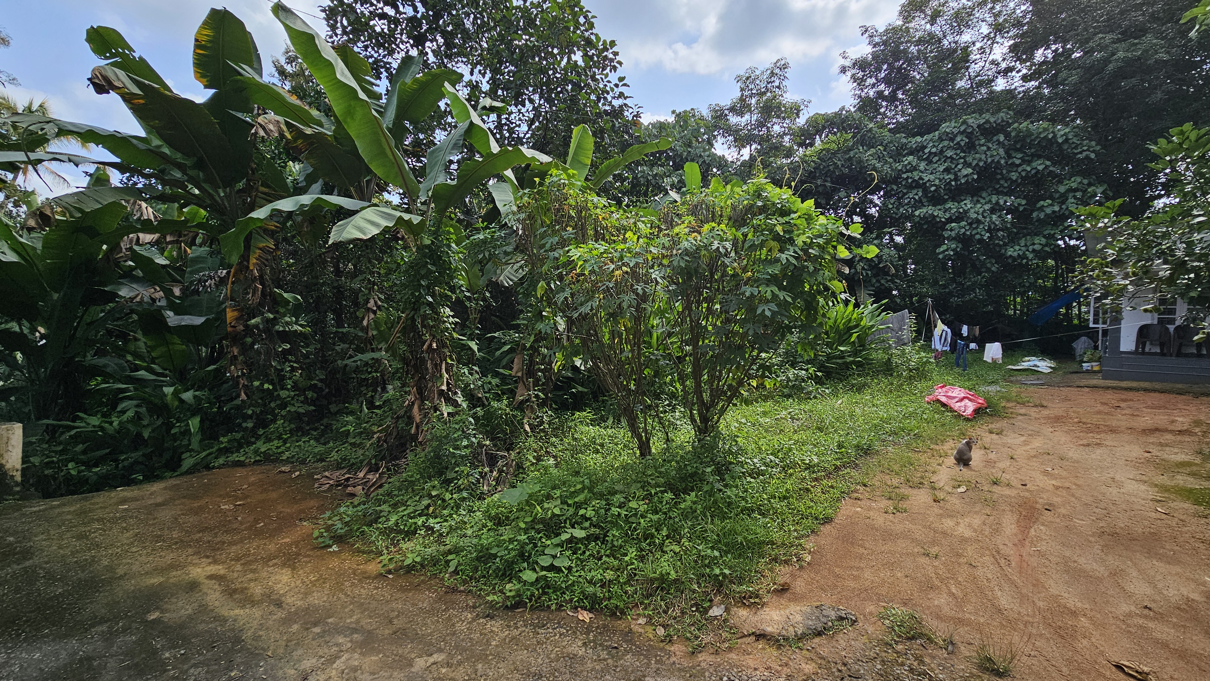 Plot for sale in Eramalloor — photo 2