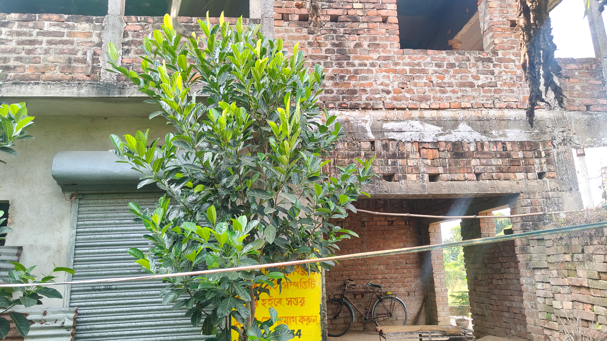 Individual House for sale in Champadanga/Tarkeshwar — photo 6