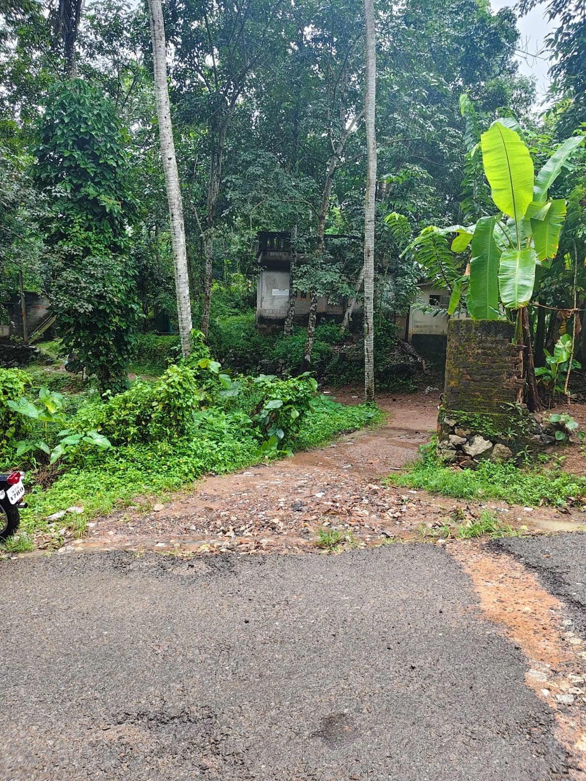 295 square meter Individual House for sale in KUTTICHAL KOTTOOR — photo 3