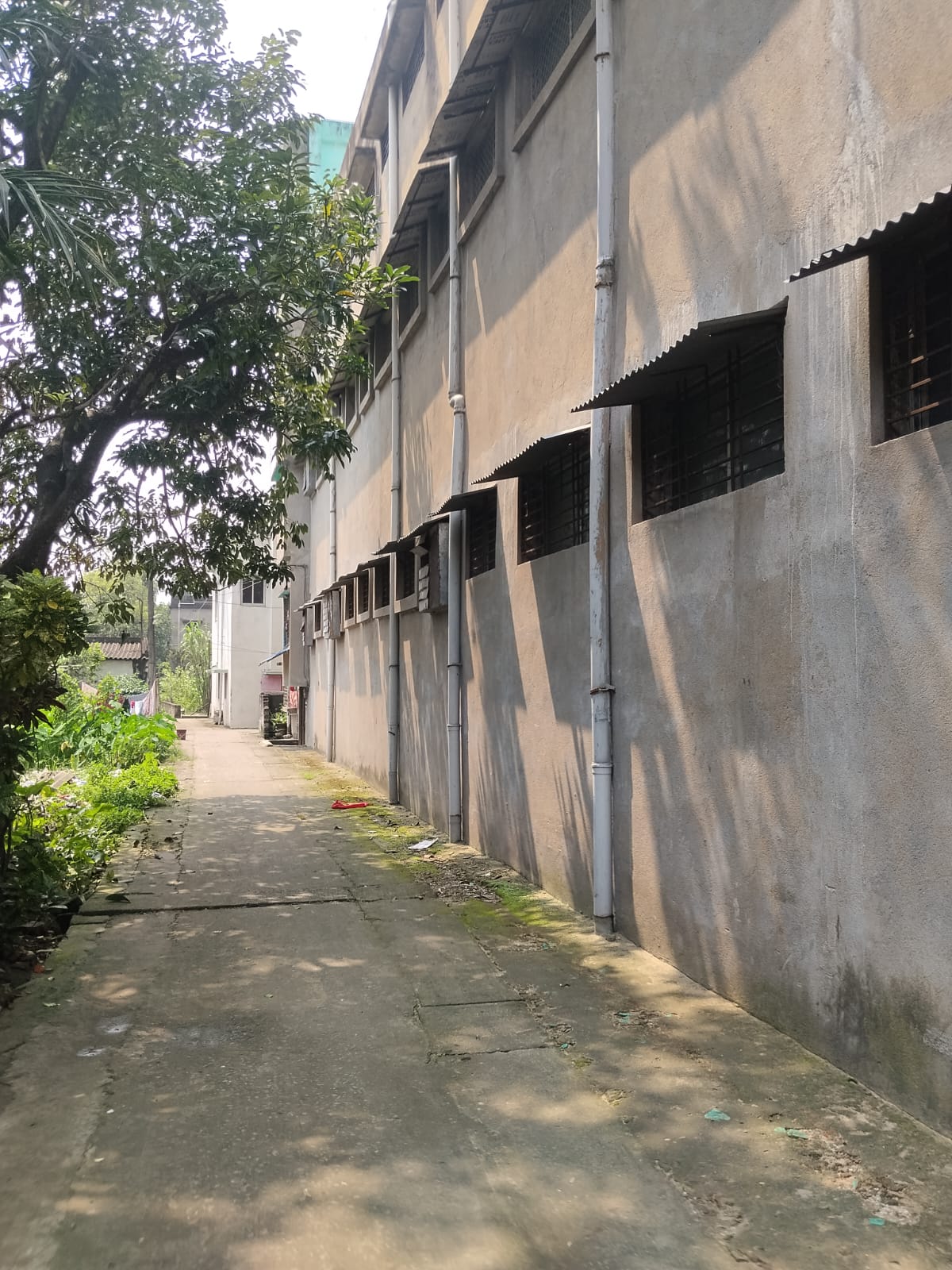 2789 square feet Individual House for sale in Muragachha Muragachha — photo 6