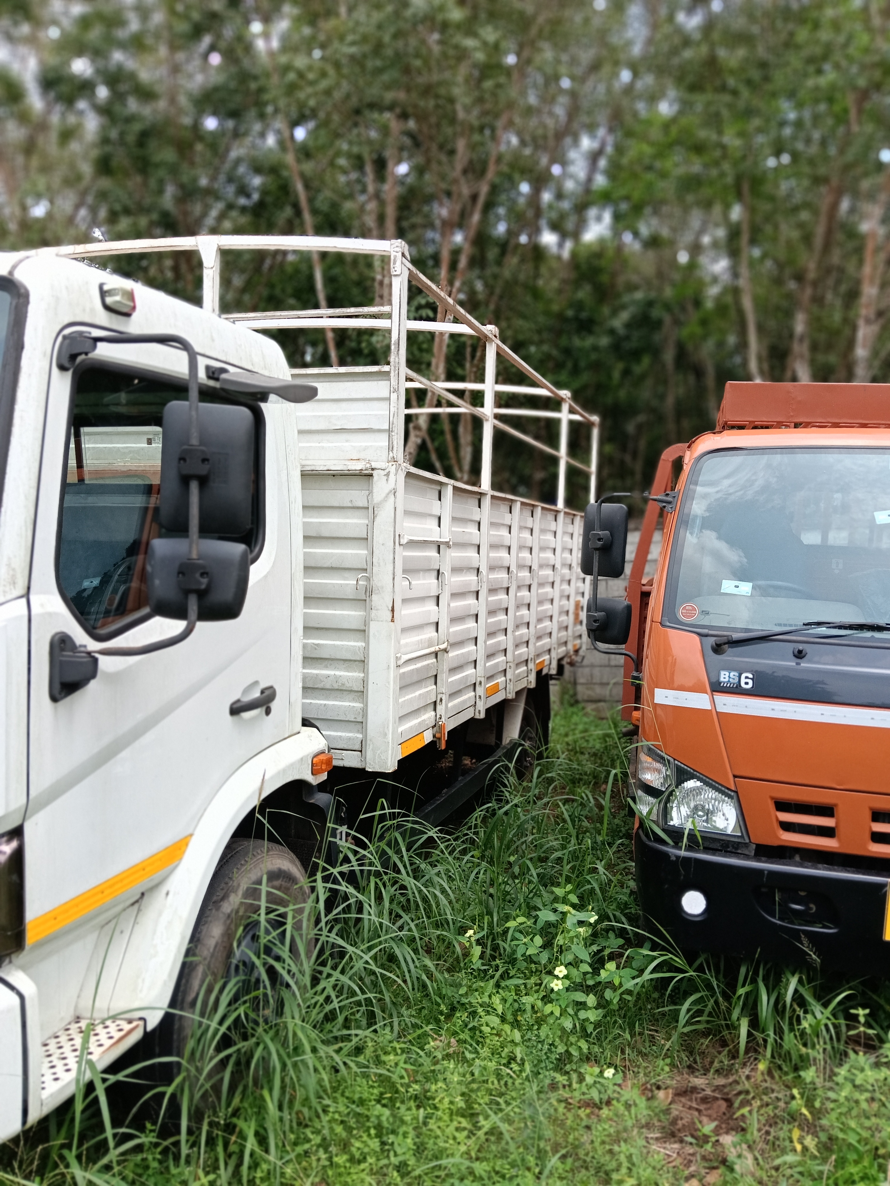 2024 Mahindra & Mahindra Furio 7 Cargo CBC Truck 17928 km 2 years for sale in ABHILASH JEEVANAND AND ASSOCIATES Vilappil — photo 3