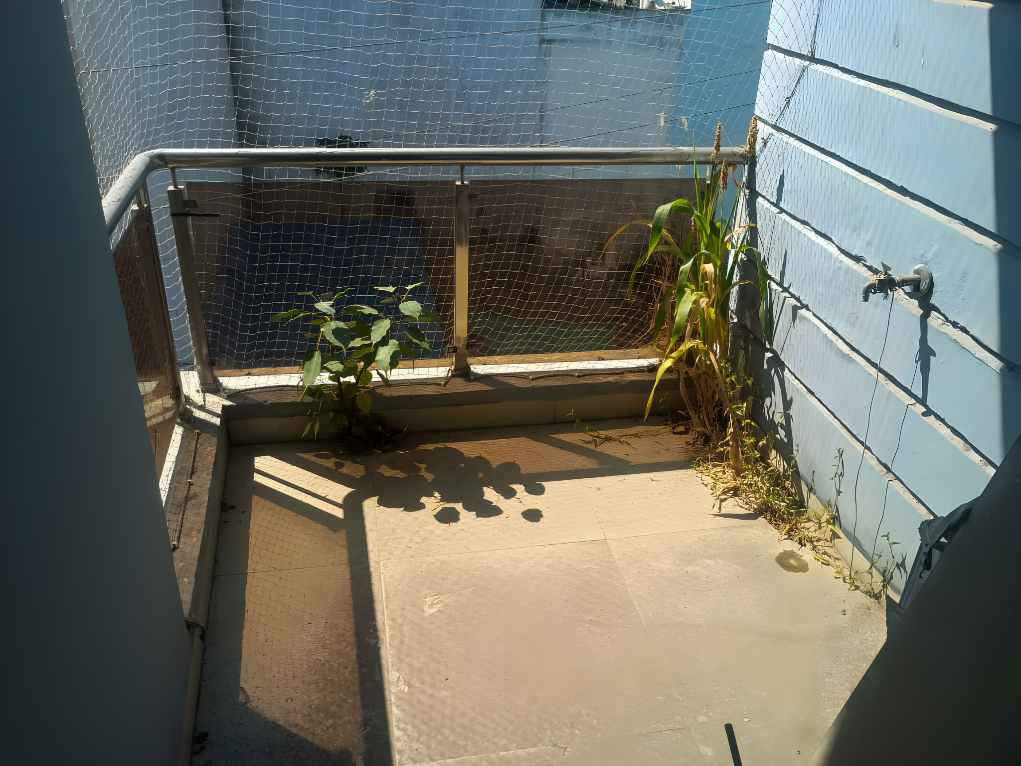 2 BHK Flat for sale in Vaani Enclave, Silicon City Indore — photo 10