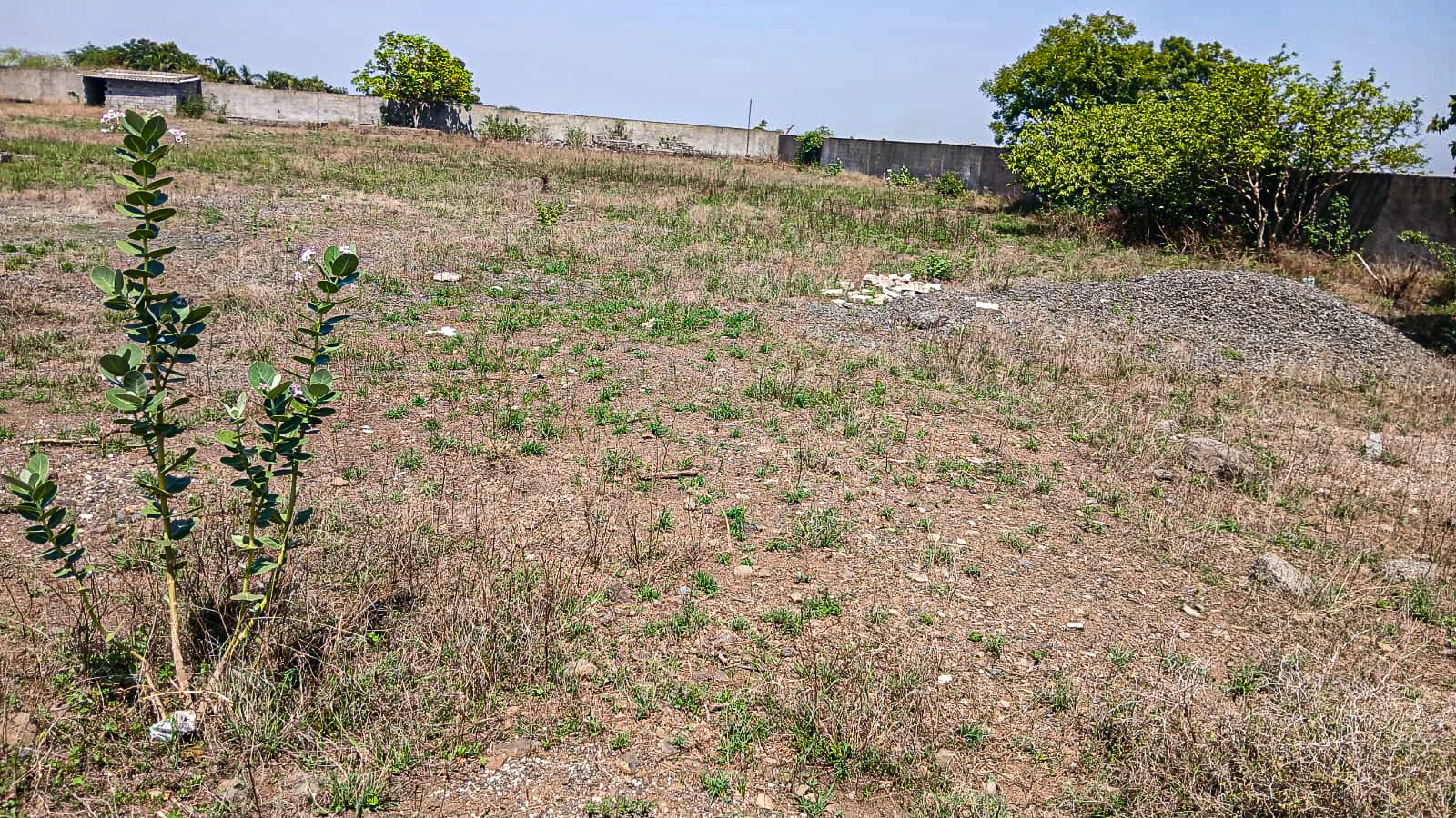 Industrial Plot for sale in Open Industrial Plots situated at Vegadi, Taluka Dhoraji, District Rajkot -360410 GIDC Dhoraji Vegadi — photo 5