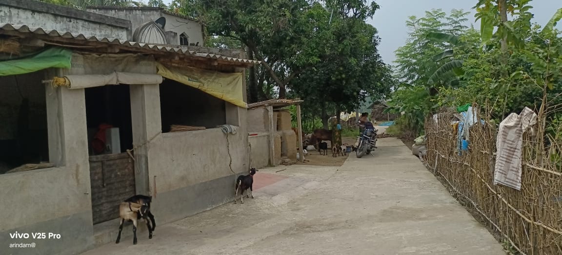 Individual House for sale in Village Gohagram(Kajipara), PO : Gohagram, PS Galsi, Distt - Purba Bardhaman. Pincode 713428 Burdwan — photo 4