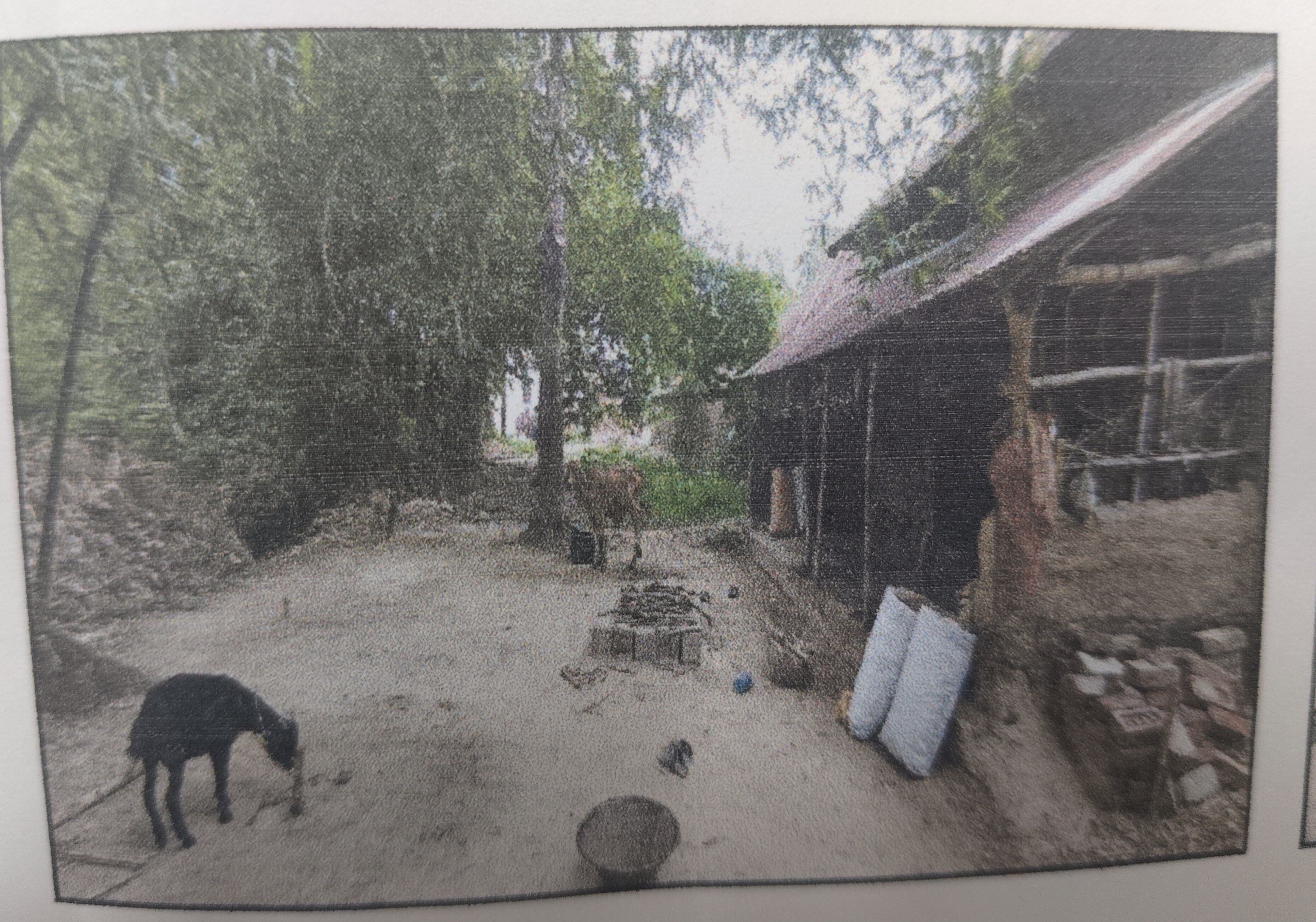 Plot for sale in Ilambazar — photo 1