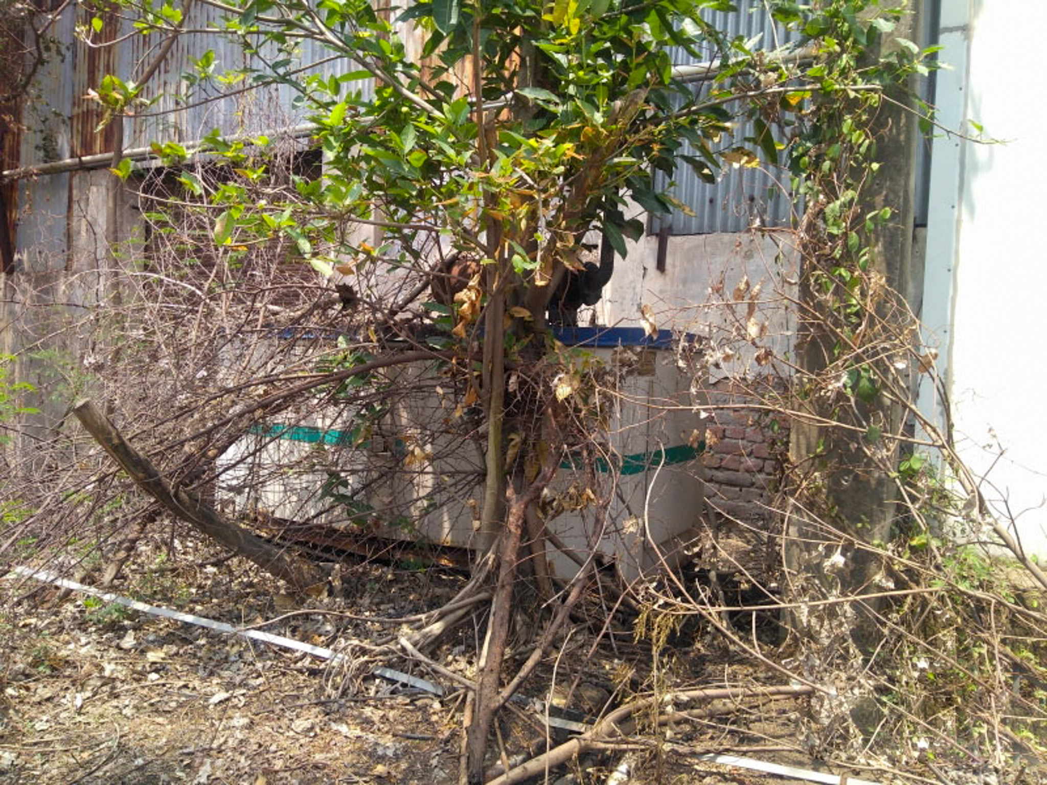 Plant and Machinery for sale in Mubarikpur Dera Bassi — photo 13