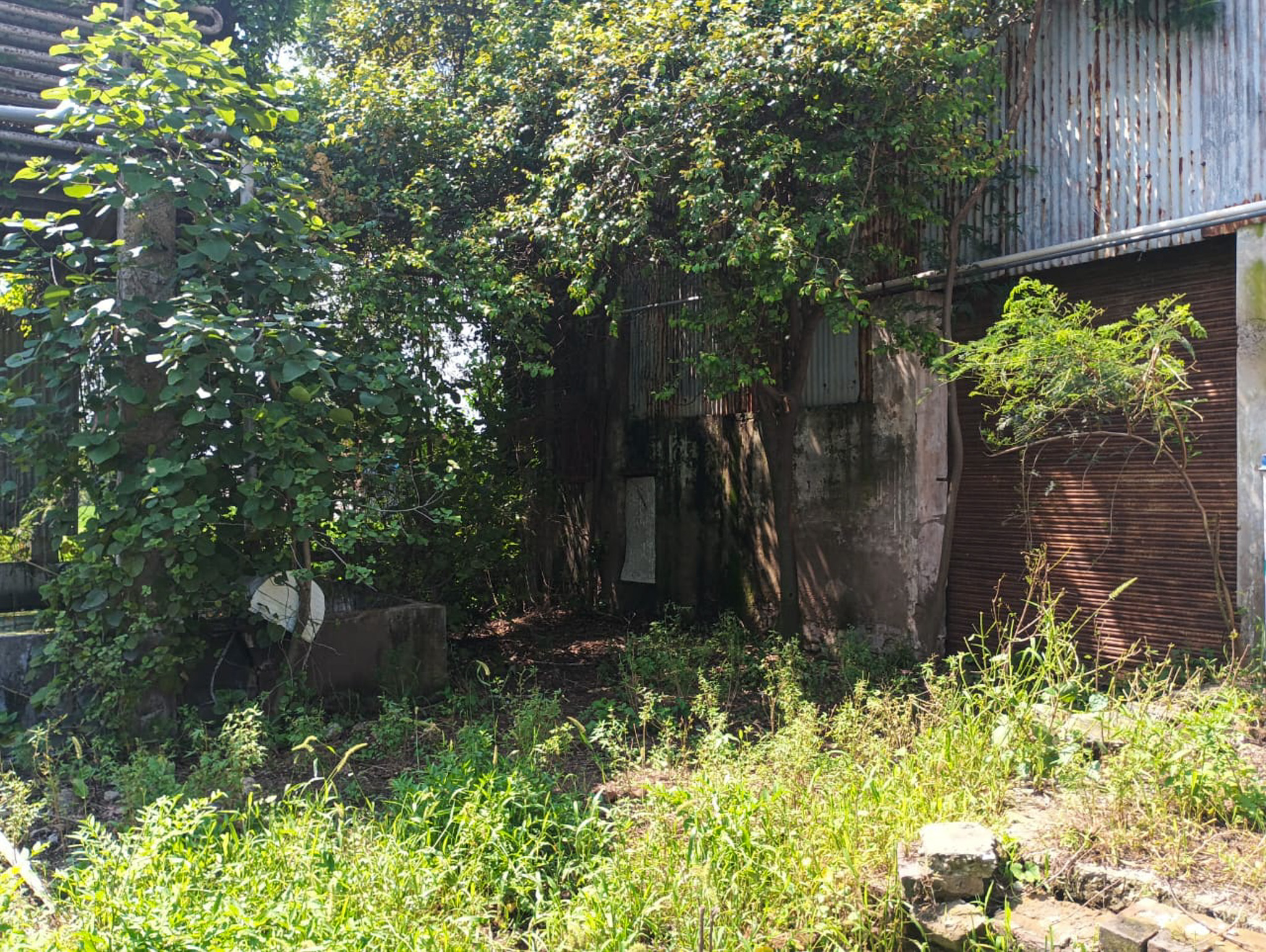 18952 square feet Industrial Shed for sale in Mubarikpur Dera Bassi — photo 3