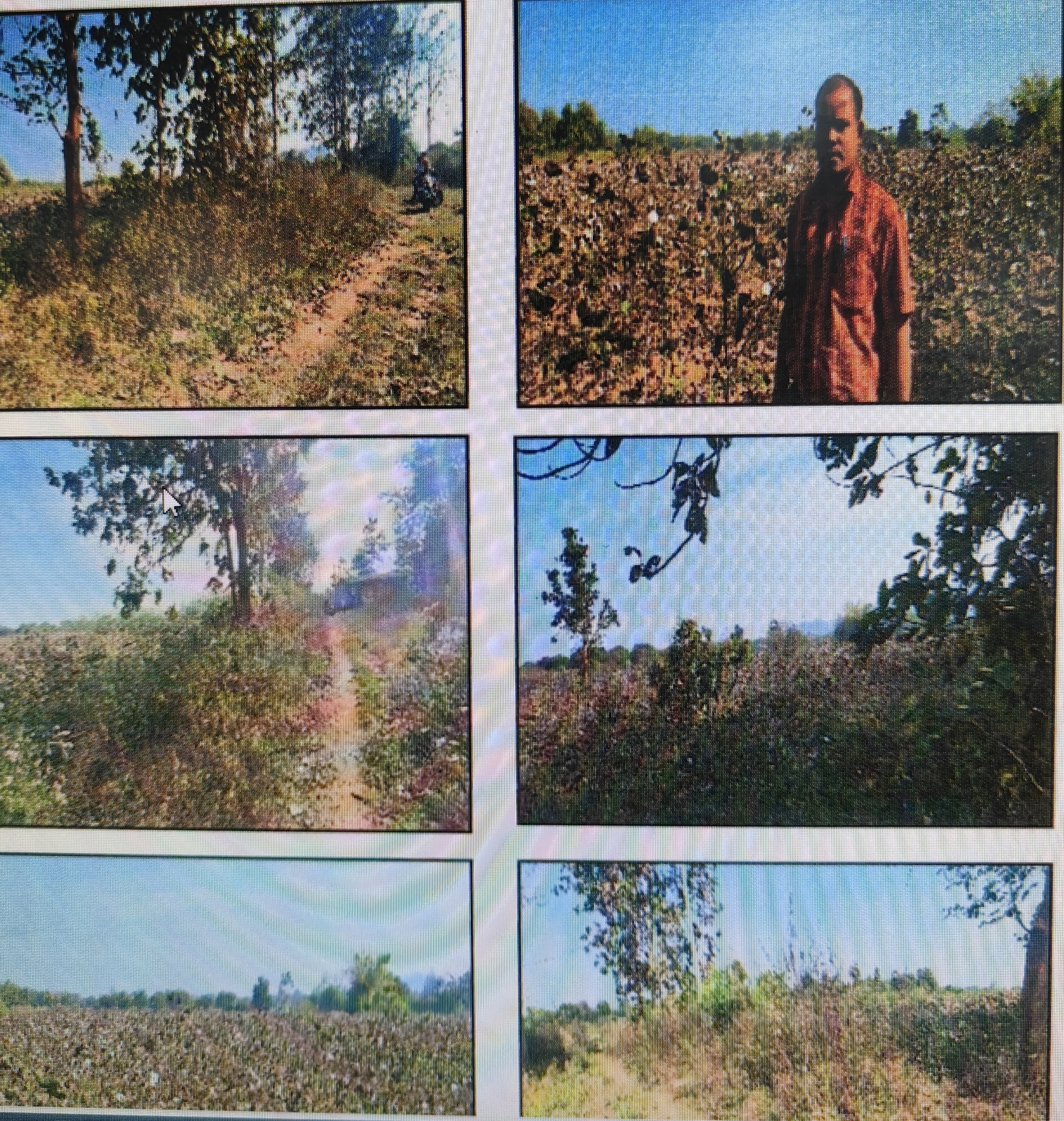 Plot for sale in Kantabanji — photo 3