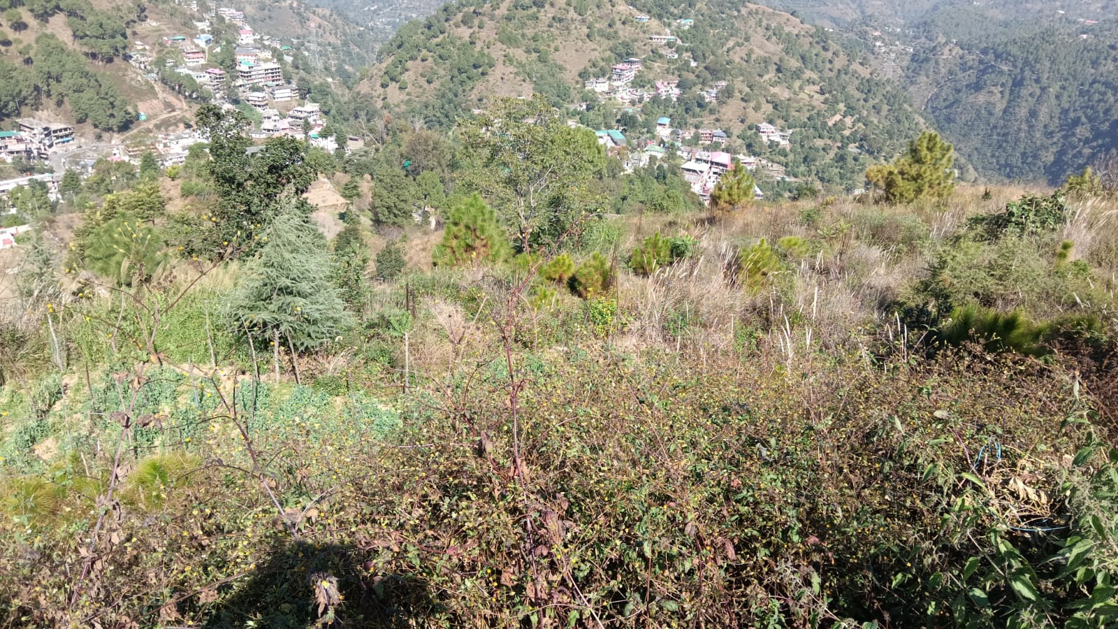 Vacant Plot for sale in RAJGARH Rajgarh