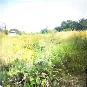 Plot for sale in Surat — photo 4
