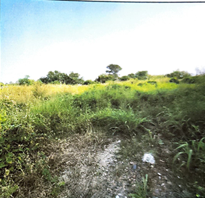 Plot for sale in Surat — photo 3