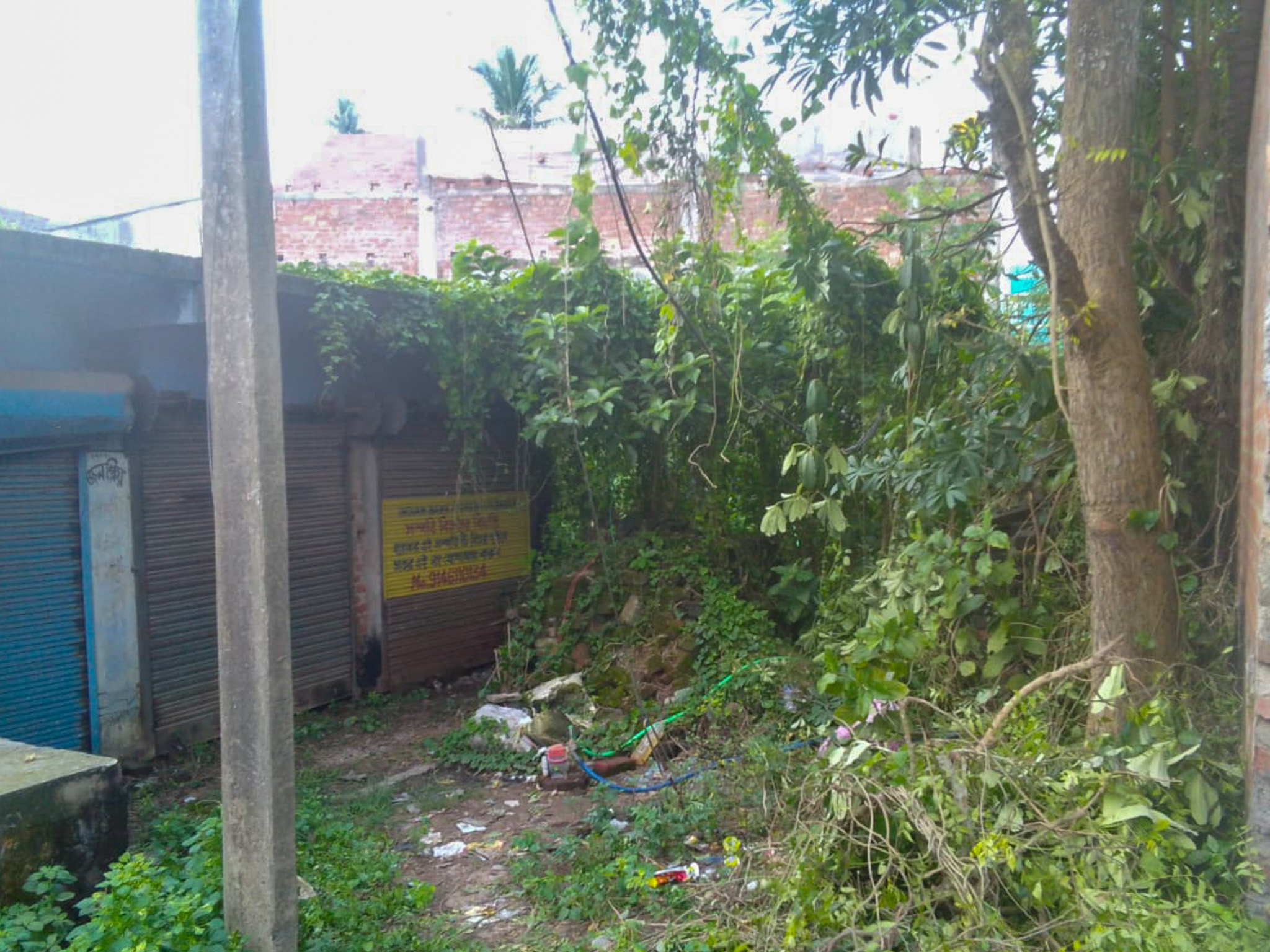 Shops for sale in Champadanga/Tarkeshwar — photo 20
