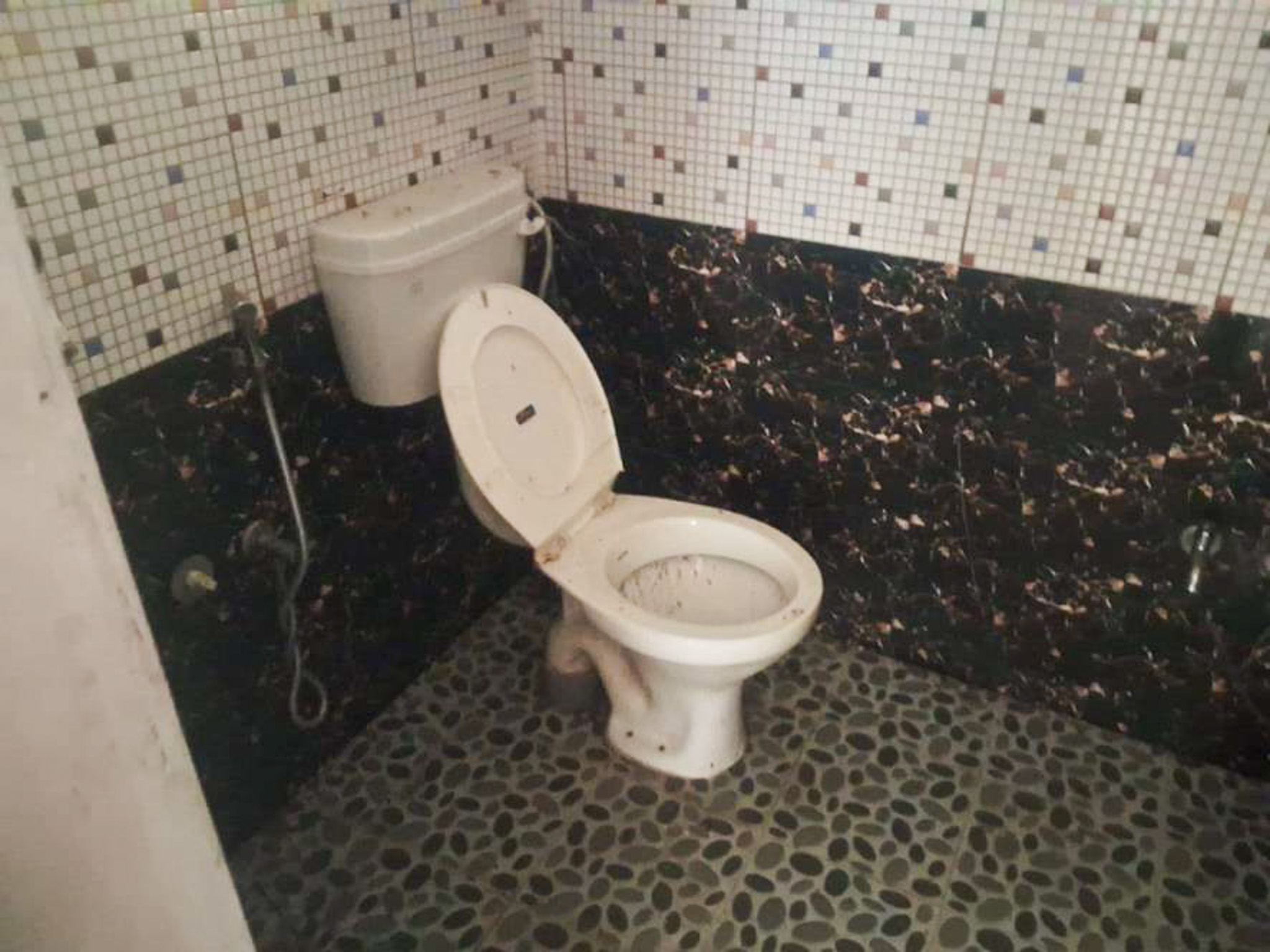 2 BHK Individual House for sale in Firozkhan, Pallickal Madavoor — photo 11