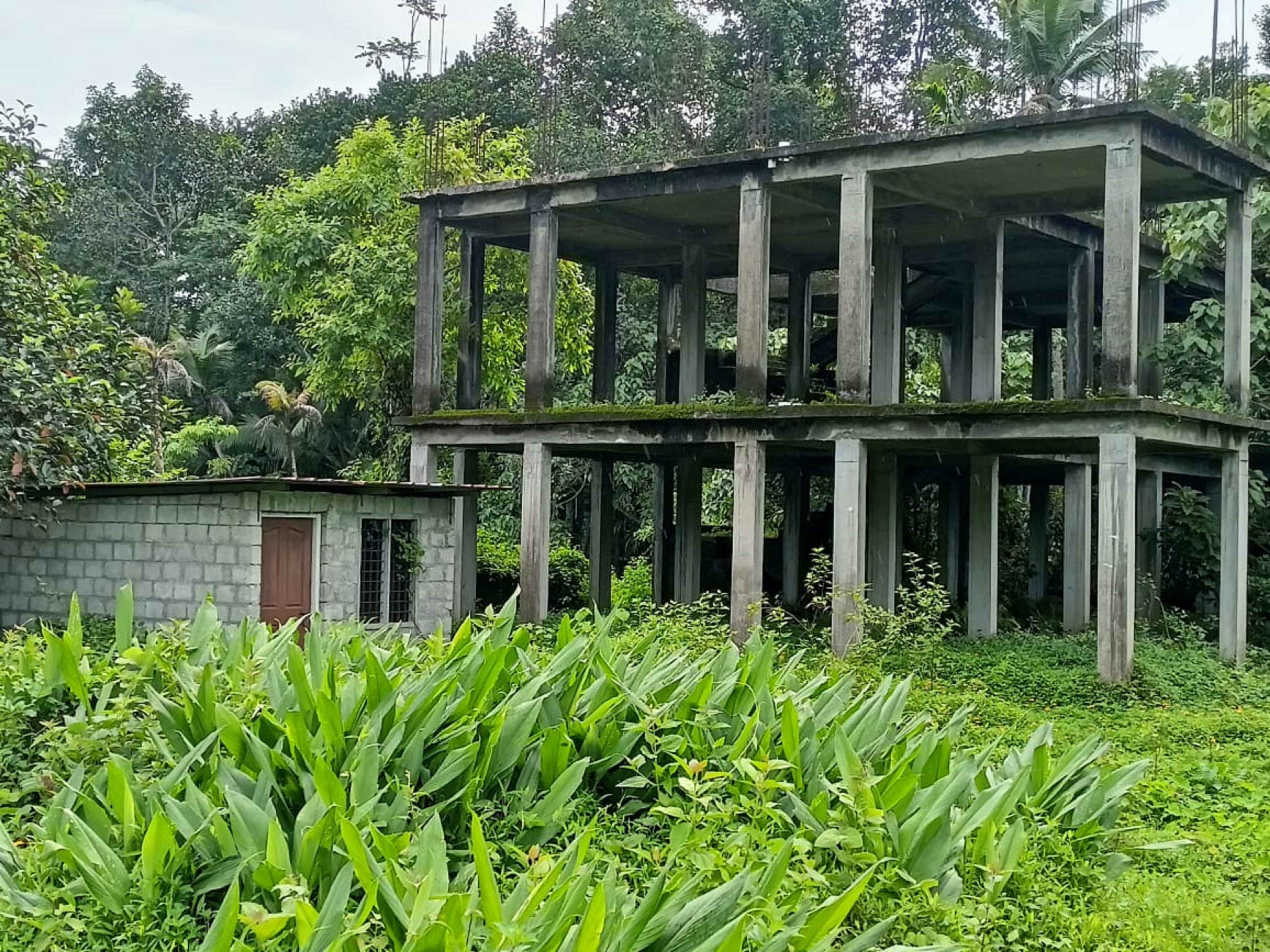 Plot for sale in Perumbavoor — photo 1
