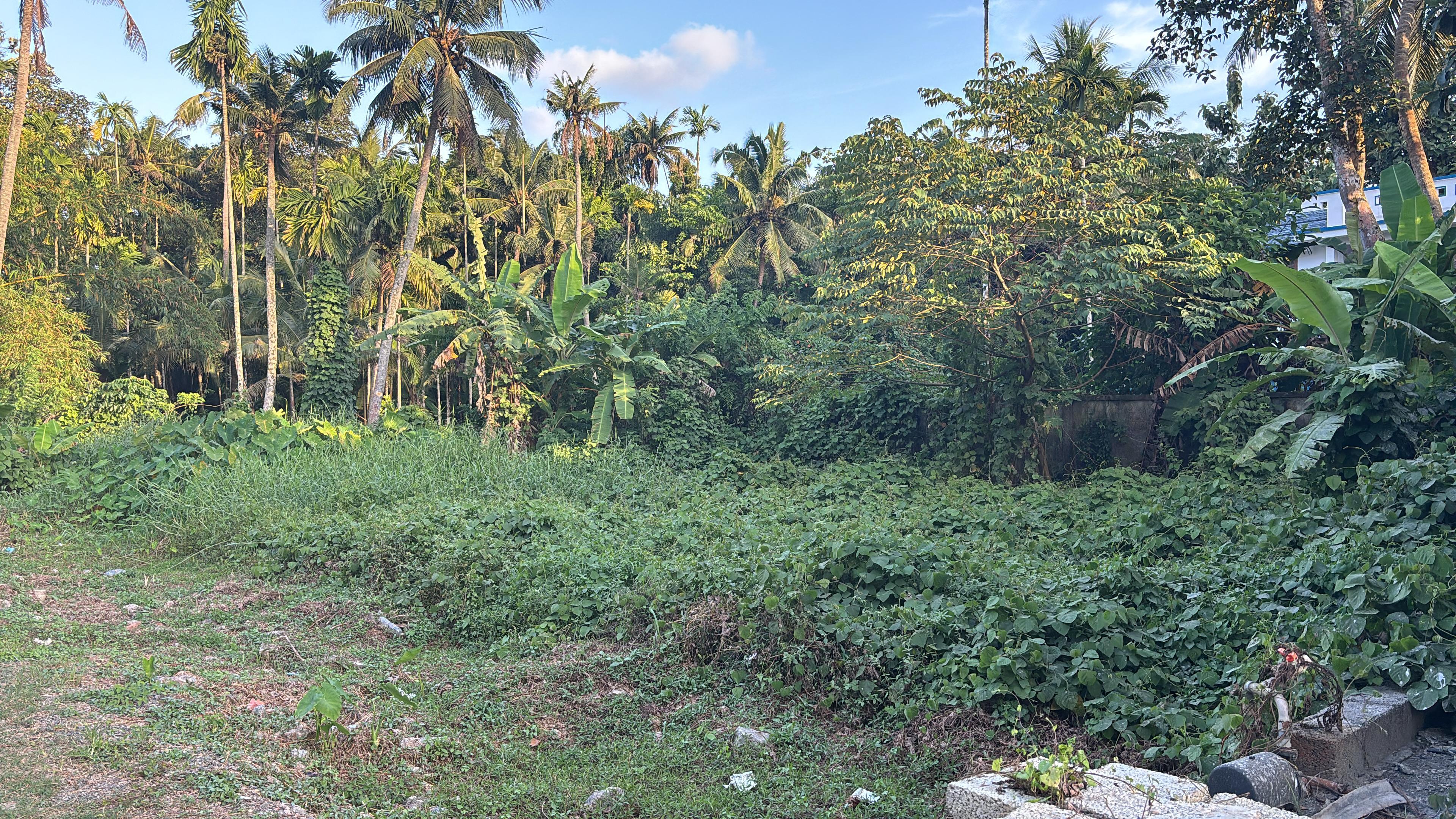 Individual House for sale in Alangad — photo 1
