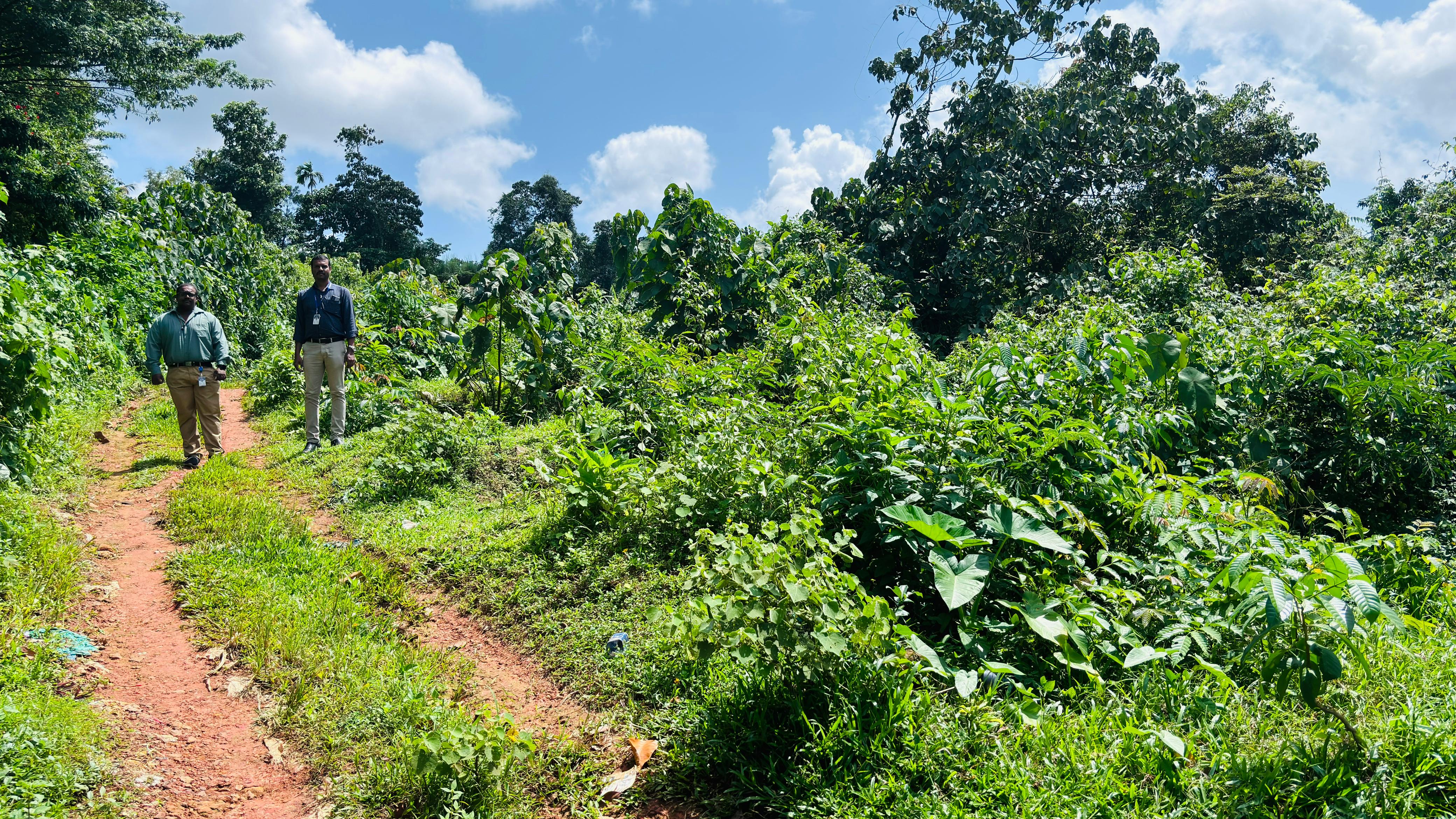 Plot for sale in Chelamattom — photo 1