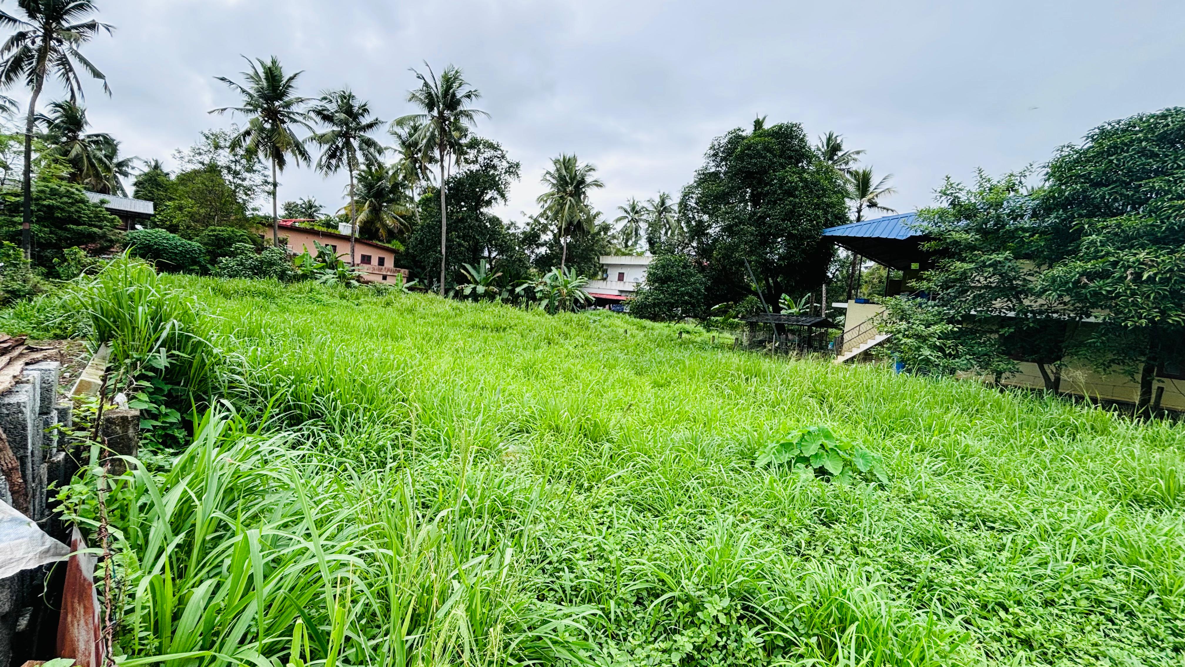 Plot for sale in Thrissur