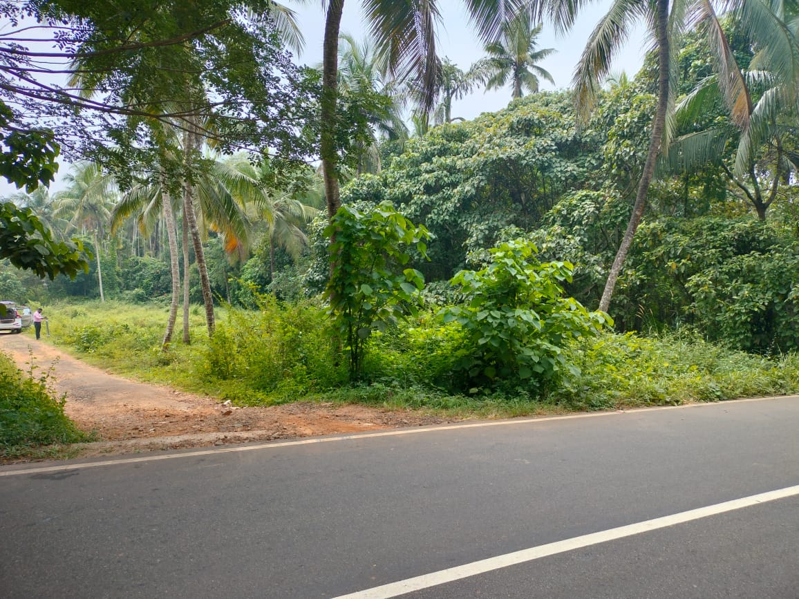 1497 square meter Plot for sale in 600 meter away from Govt L P School, Parappuram, Kunnamkulam Taluk, Thrissur District Chiramanangad — photo 2