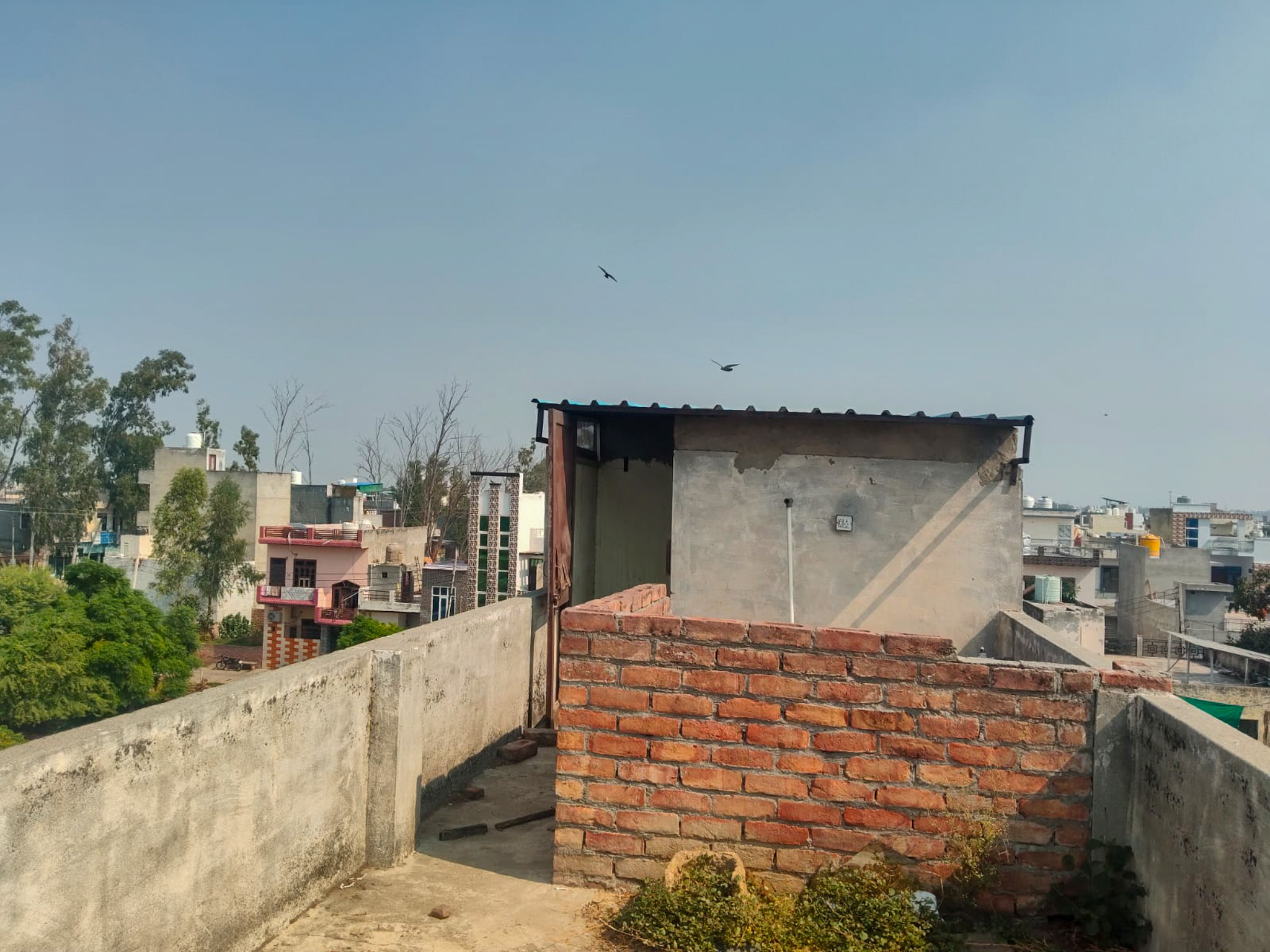 27.77 square yard Shops for sale in Middle Semi Urban Kaithal — photo 5
