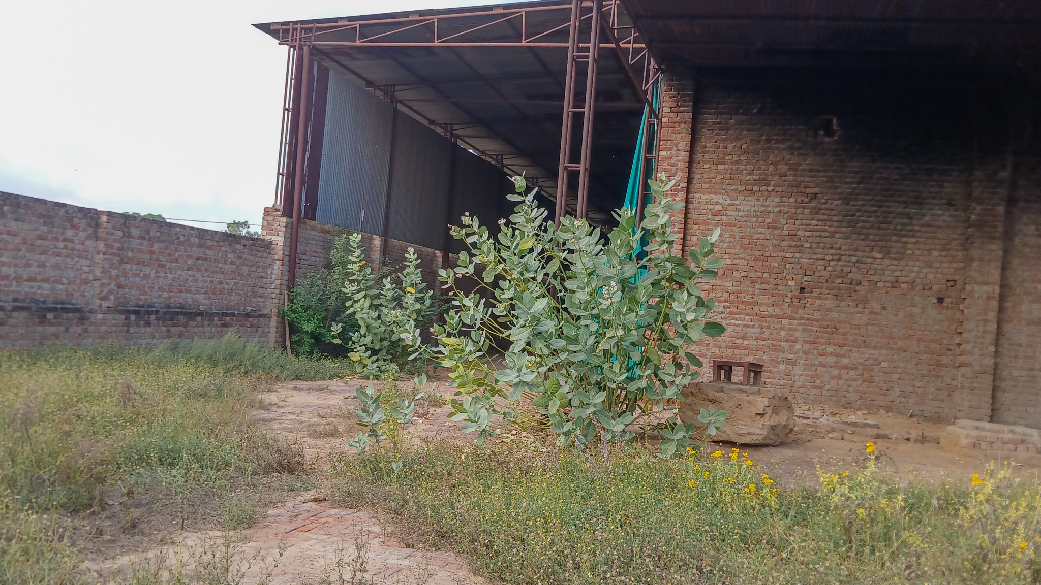 2781 square yard Godowns for sale in Bhattu Kalan, Distt-Fatehabad Fatehabad — photo 6