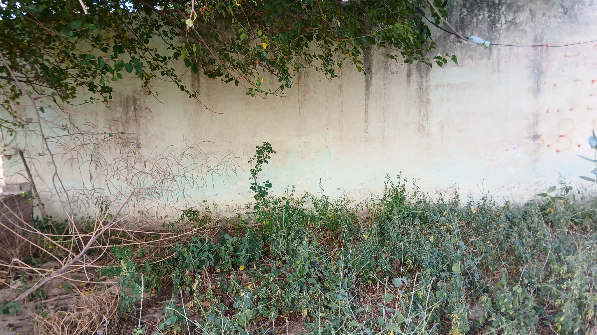 2781 square yard Godowns for sale in Bhattu Kalan, Distt-Fatehabad Fatehabad — photo 2