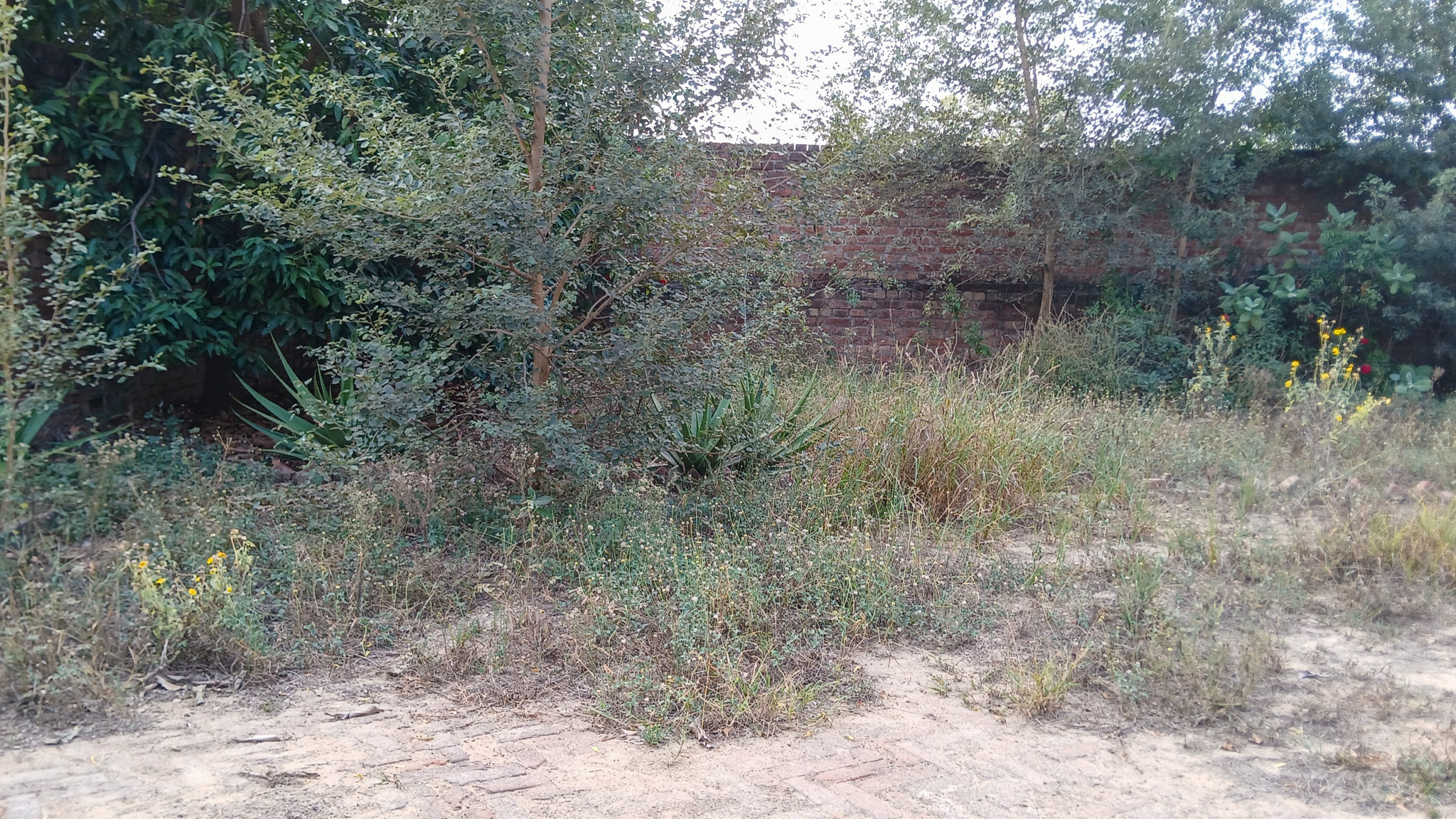 2781 square yard Godowns for sale in Bhattu Kalan, Distt-Fatehabad Fatehabad — photo 3